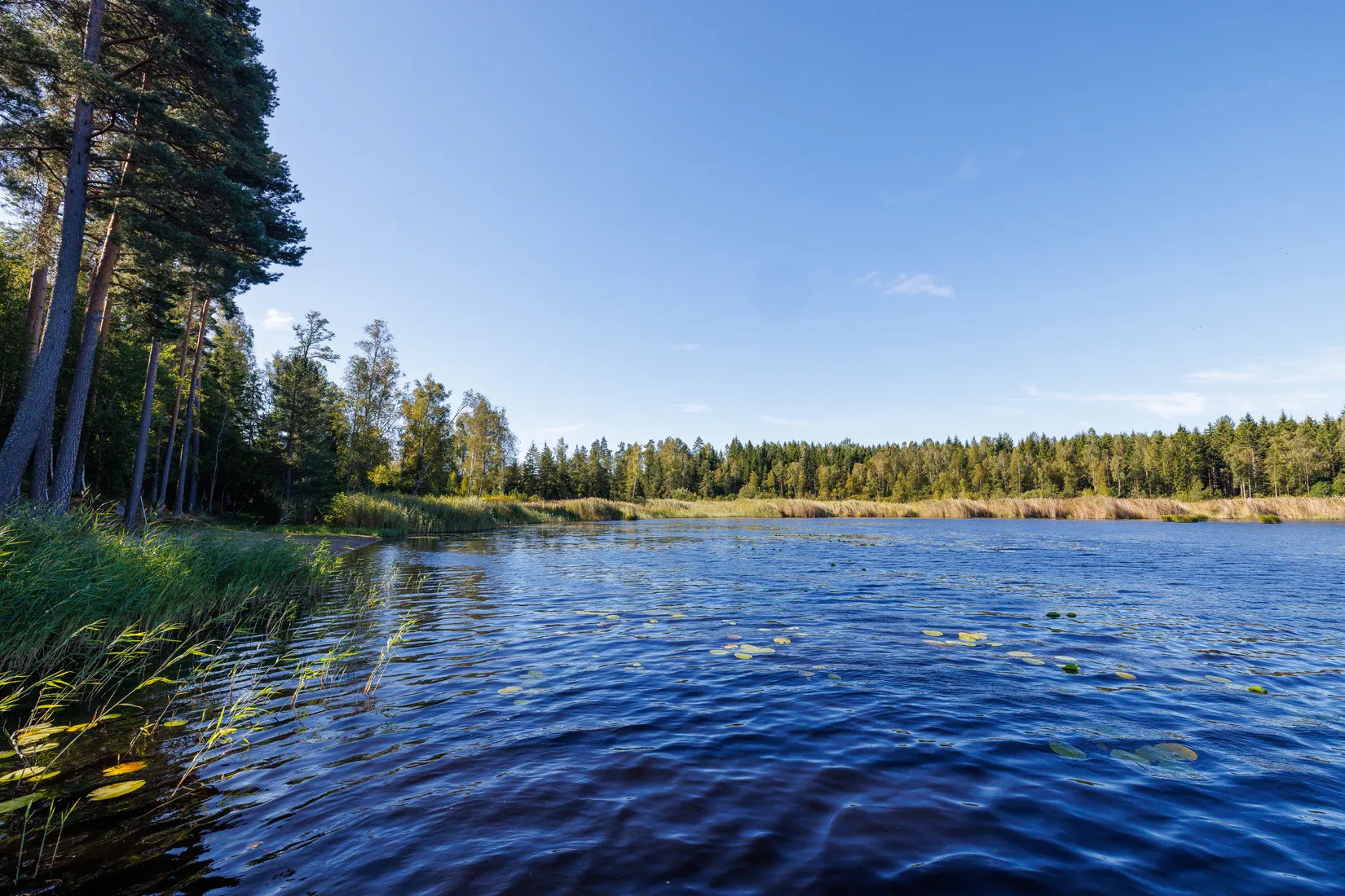 Fritidshus, Balsnavägen 17, Gropvik, Örebro