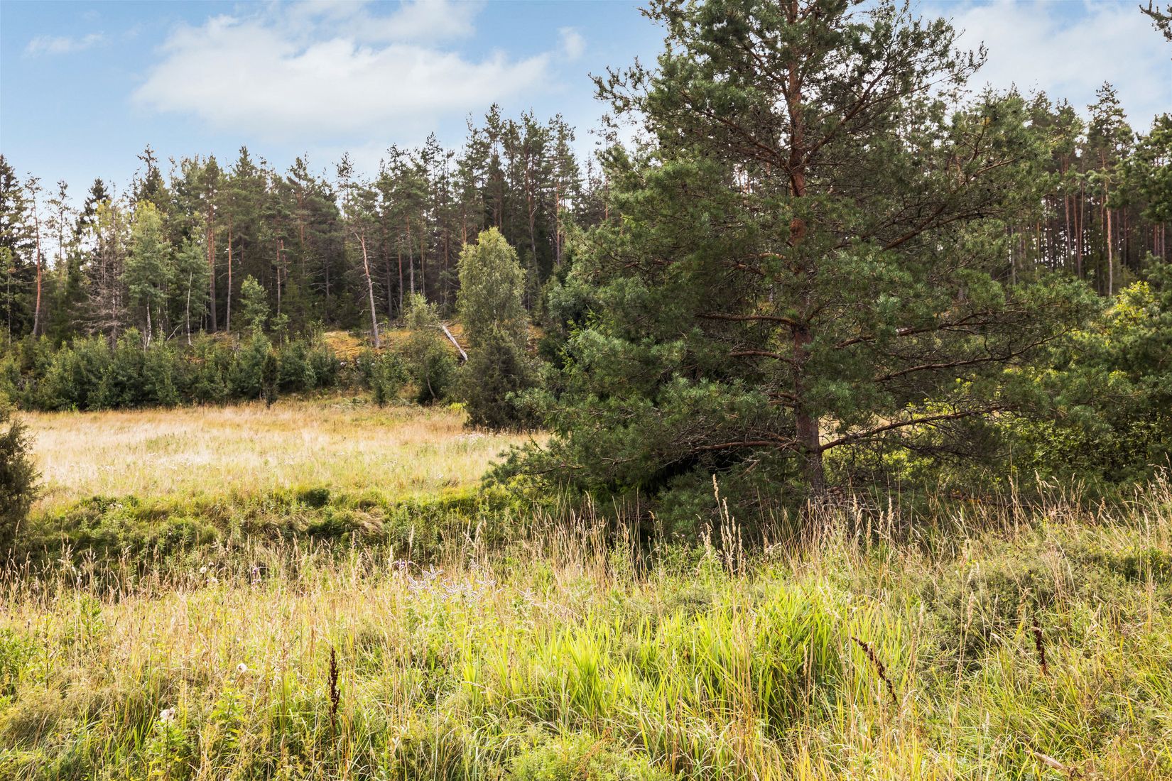 Tomt, Vackerberga 2:58, Husby-Långhundra, Knivsta