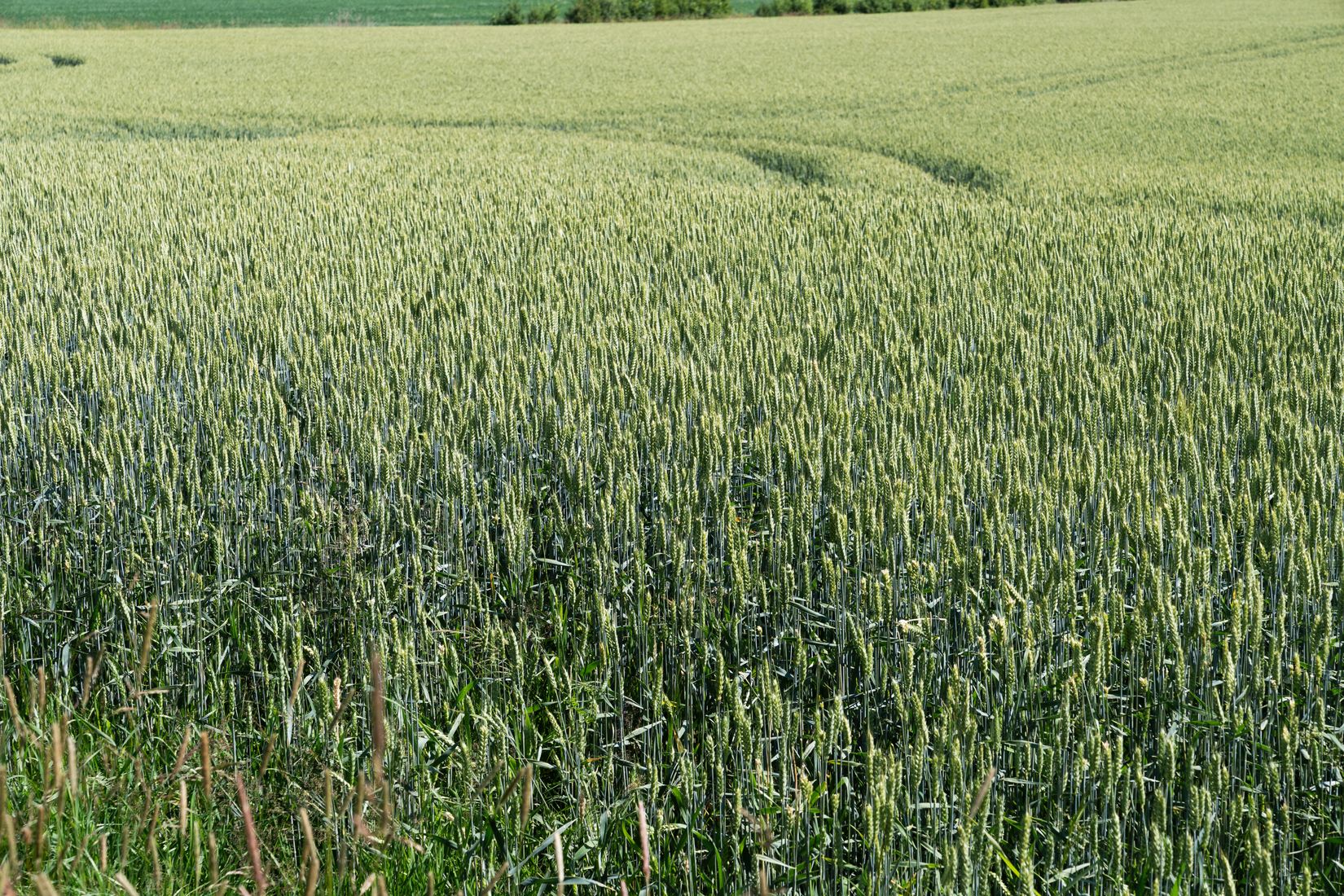 Villa, Bastekärr 3, Skee, Strömstad