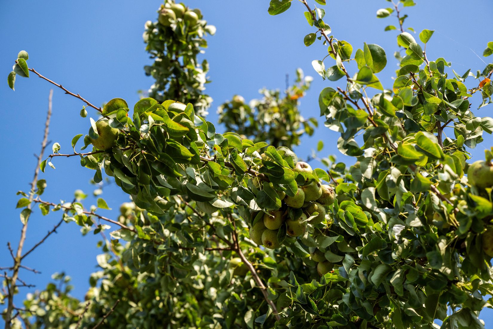 Villa, Stavstensvägen 149, Centralt - Väster, Trelleborg