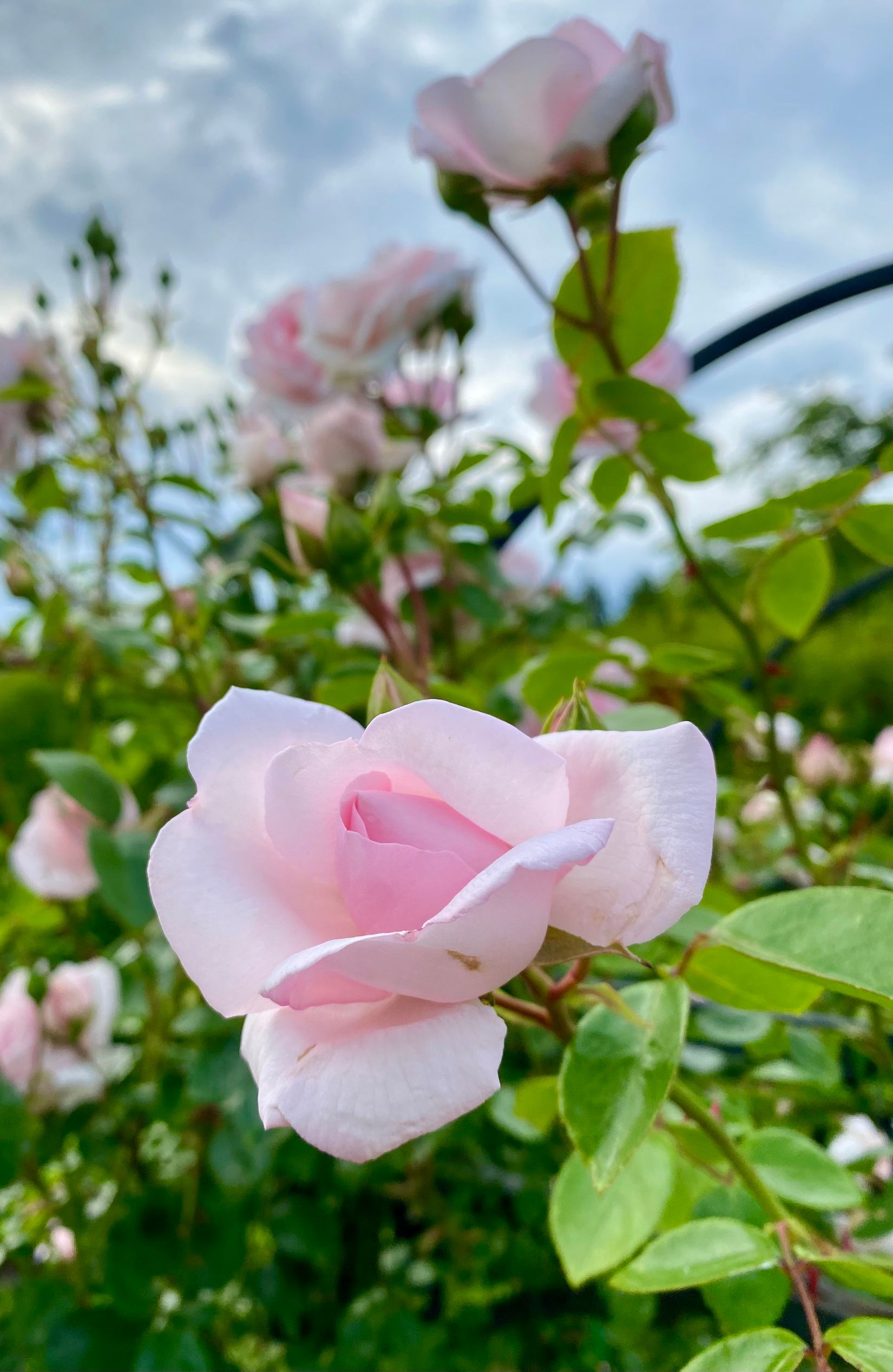 Villa, Sålådevägen 546, Kungälv - Ullstorp, Kungälv