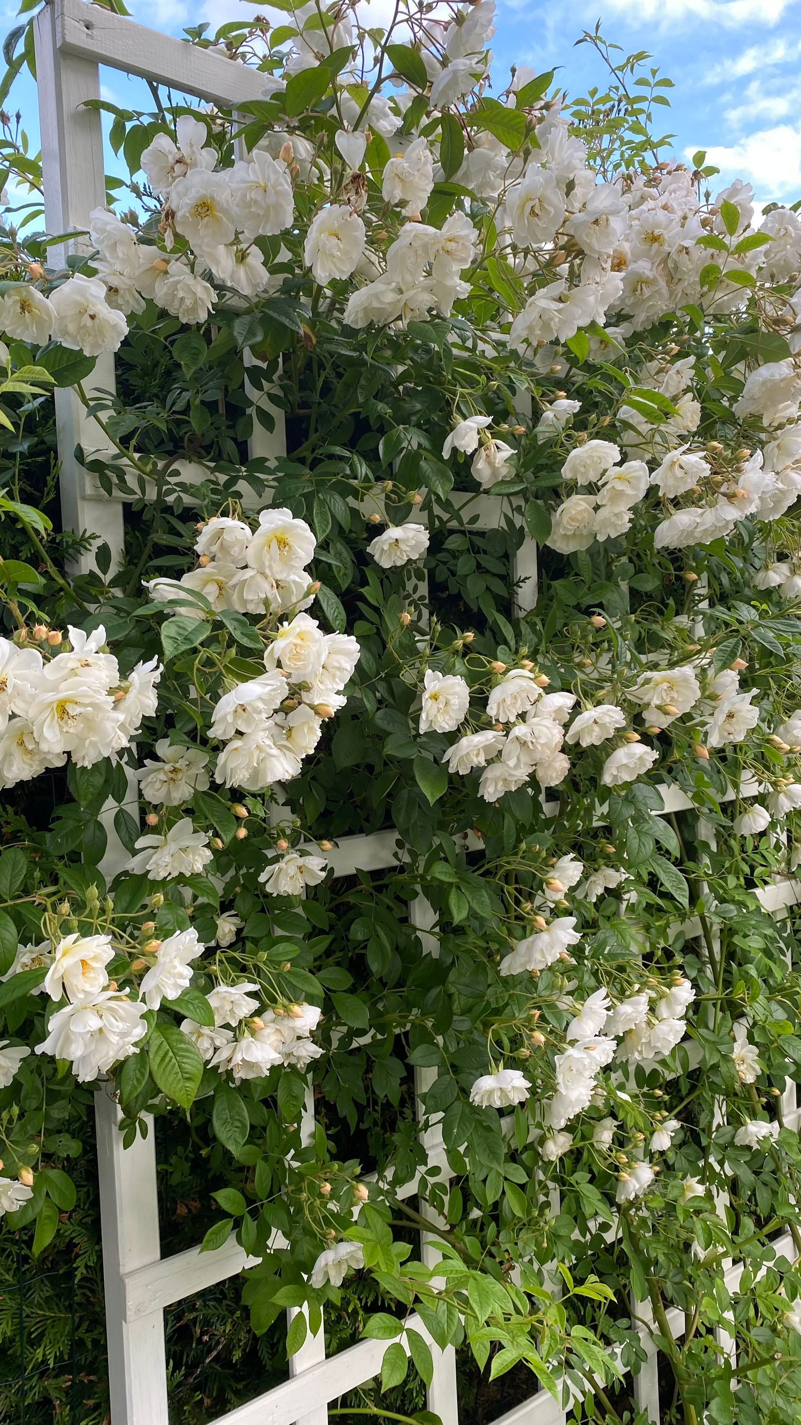 Villa, Sålådevägen 546, Kungälv - Ullstorp, Kungälv