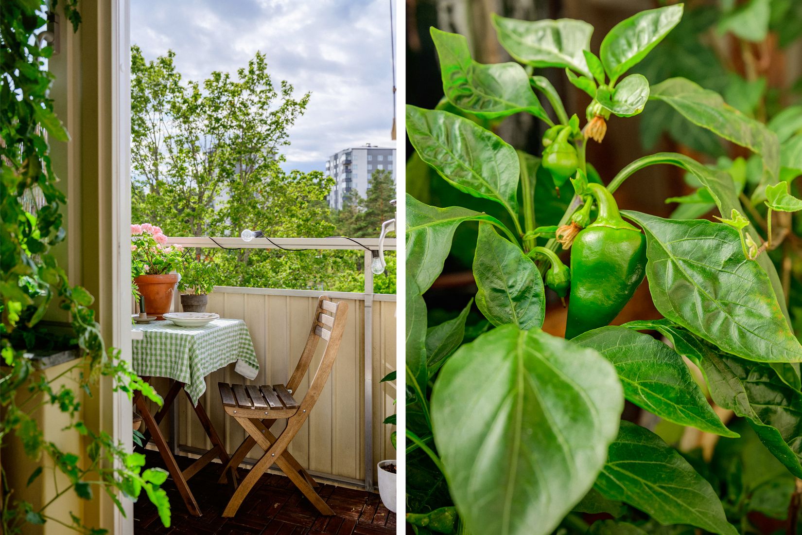 Bostadsrätt, Doktor Widerströms Gata 30, Fruängen, Stockholm