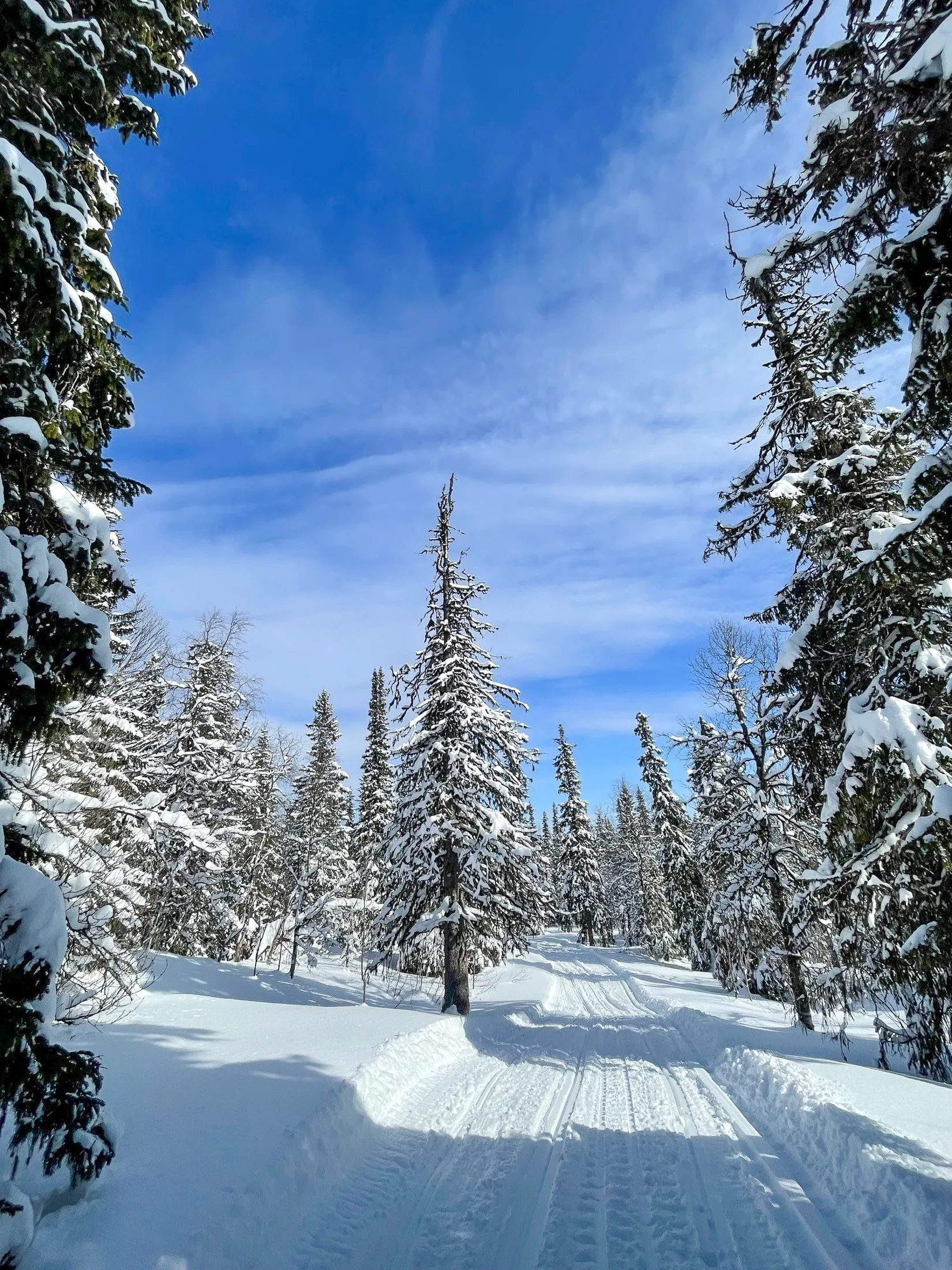 Fritidshus, Matsdal 115, Matsdal, Vilhelmina