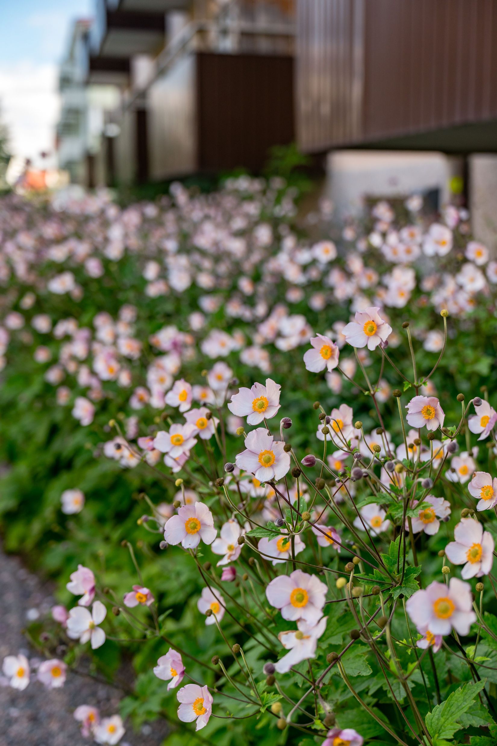Bostadsrätt, Fålhagsleden 3B, Fålhagen, Uppsala