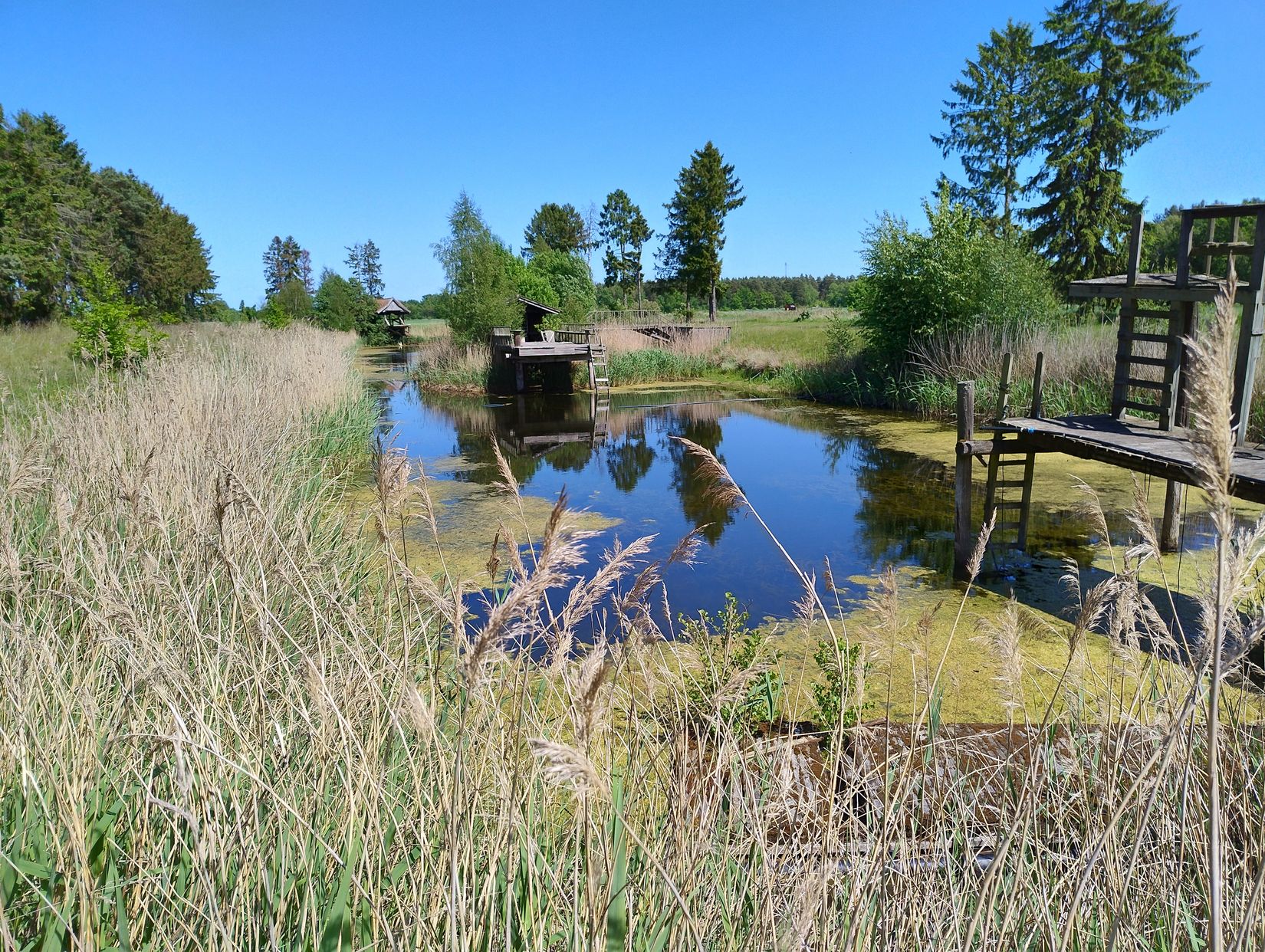 Villa, Kolbodagatan 47, Kalmar