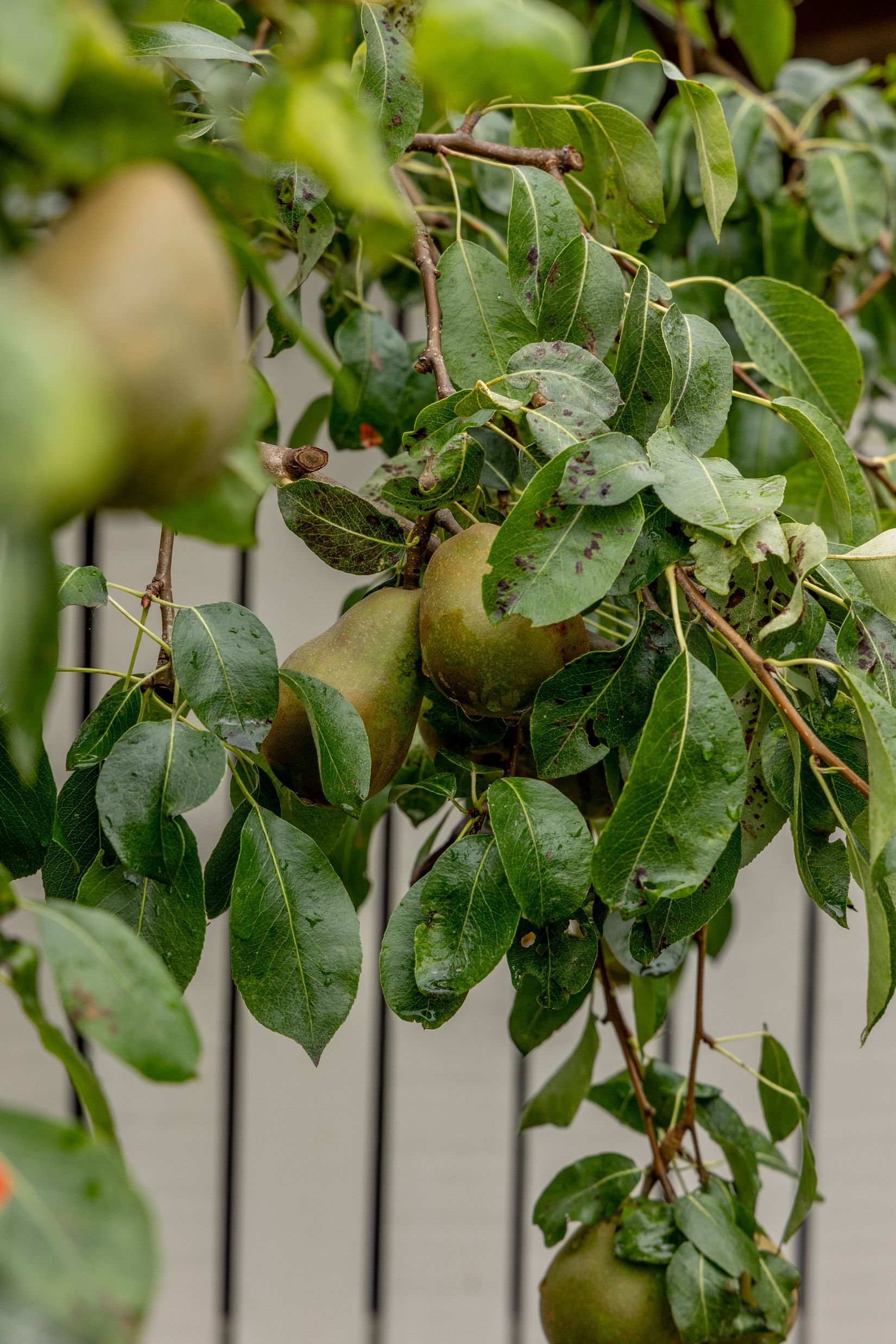 Villa, Kummelvägen 26, Rödsle, Oskarshamn