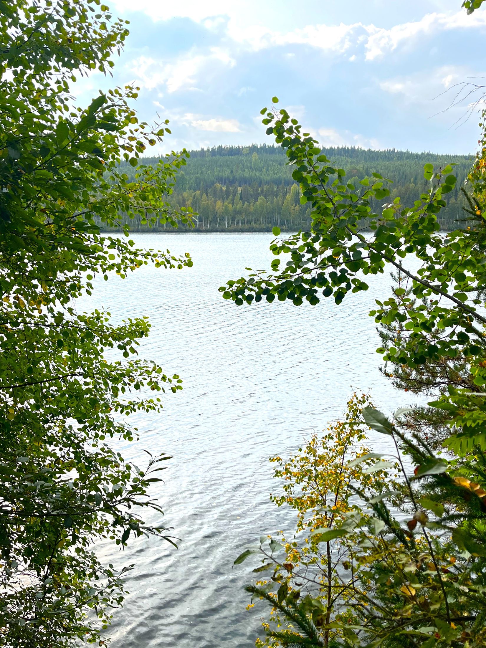 Villa, Bastuselet 42, Bastuselet, Vindeln