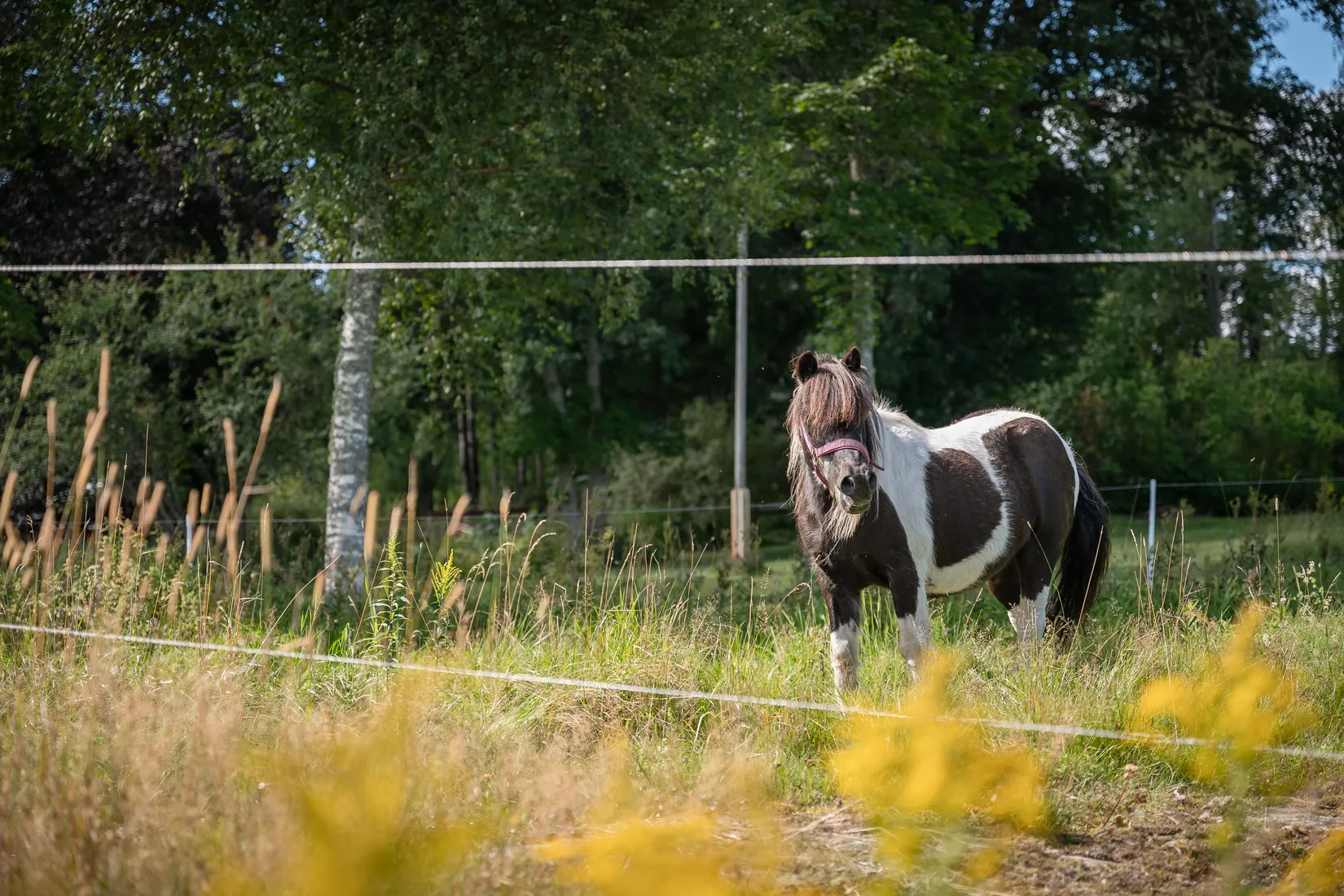 Radhus, Vistmansvägen 2A, Visten, Forshaga