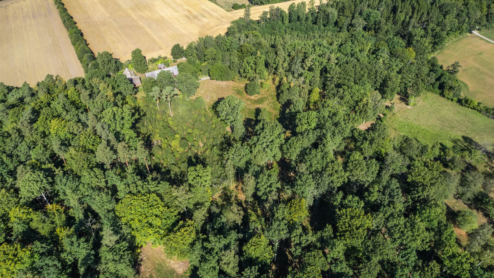 Gård/Skog, Bjärlöv 13:37, Kristianstad