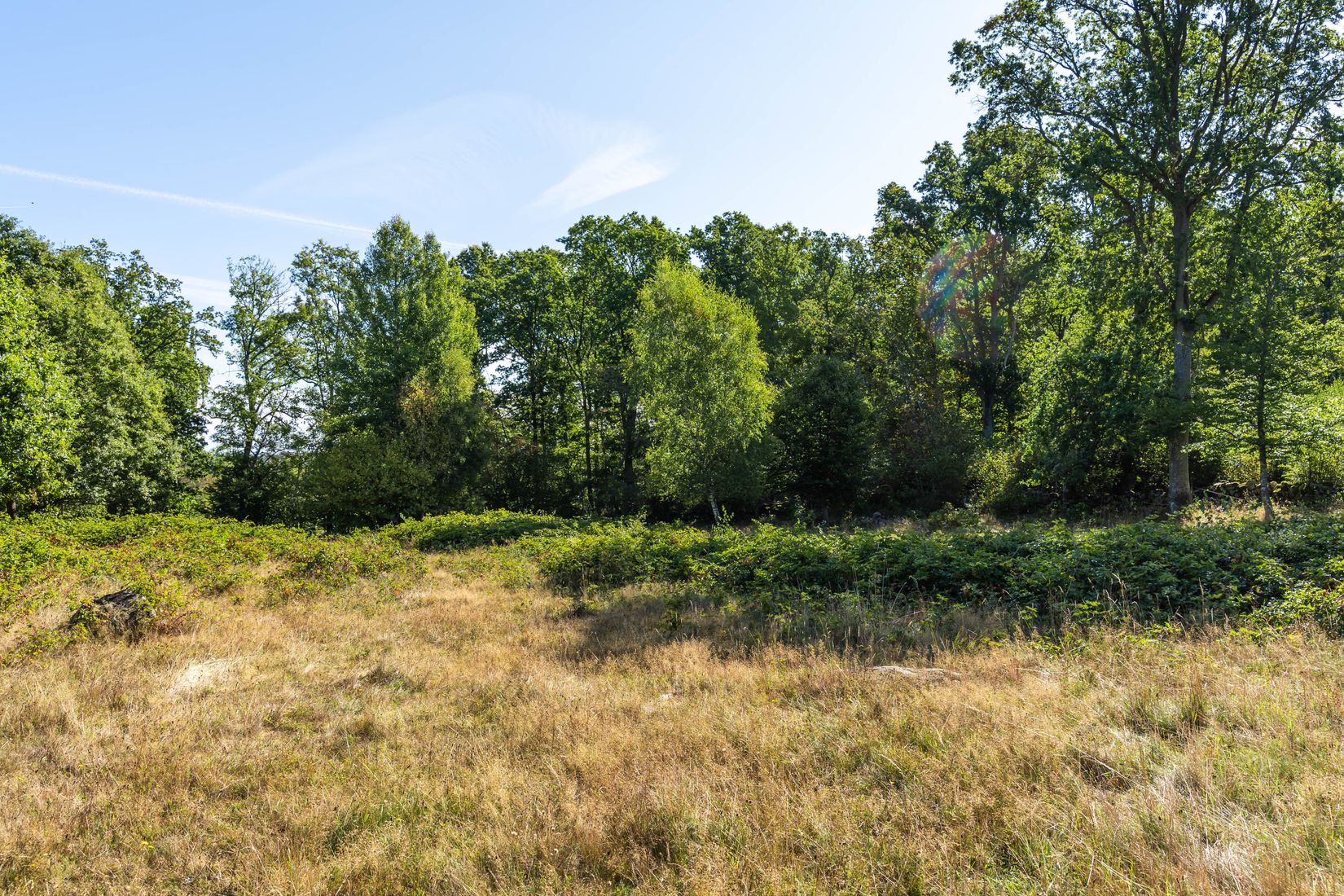 Gård/Skog, Bjärlöv 13:37, Kristianstad