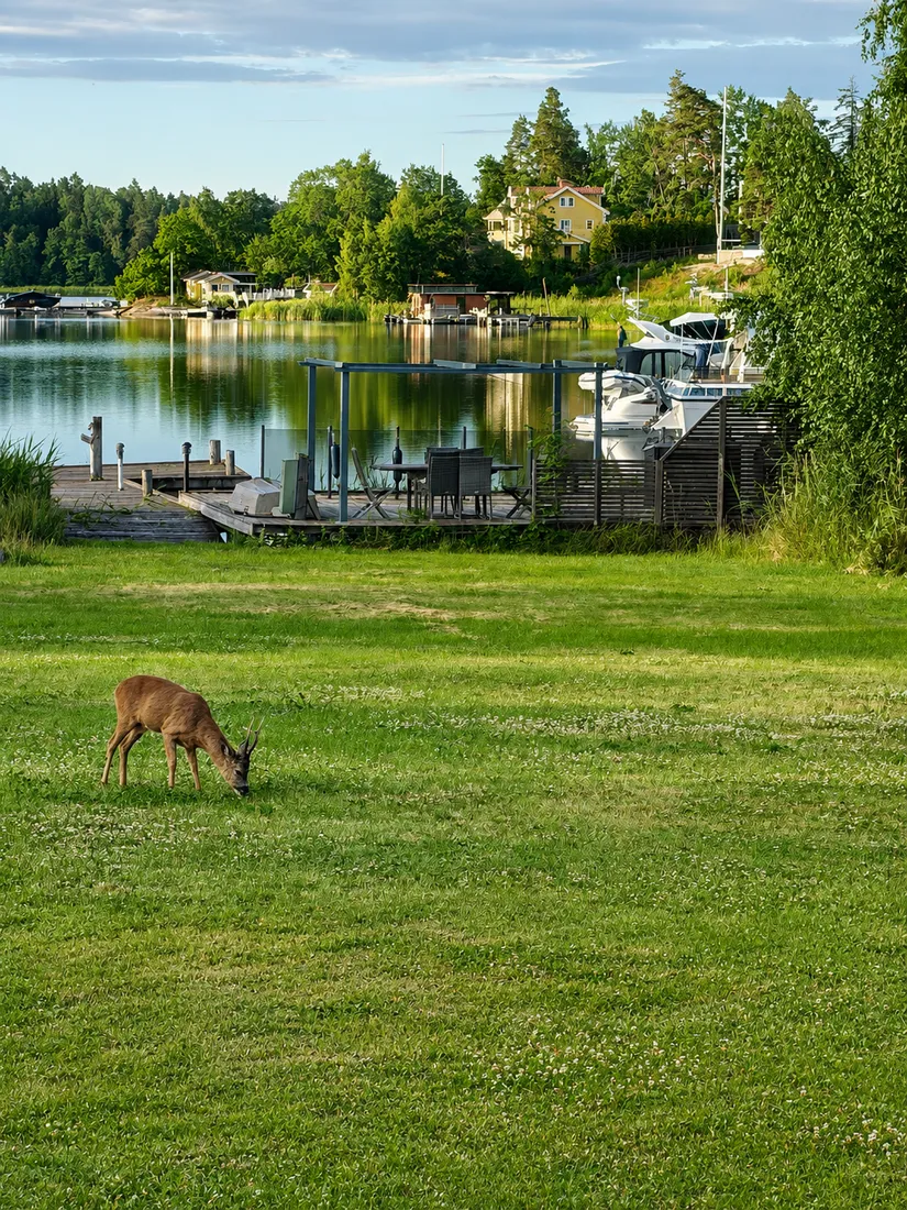 Villa, Björnhammarvägen 11, Svinninge, Österåker