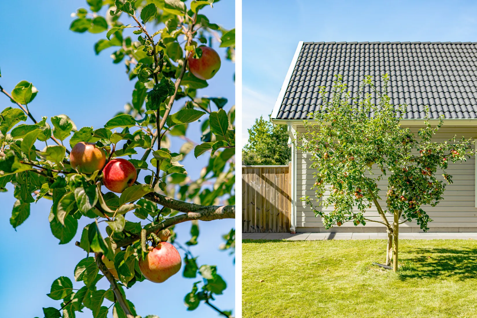 Villa, Roberts väg 1A, Skrea, Falkenberg