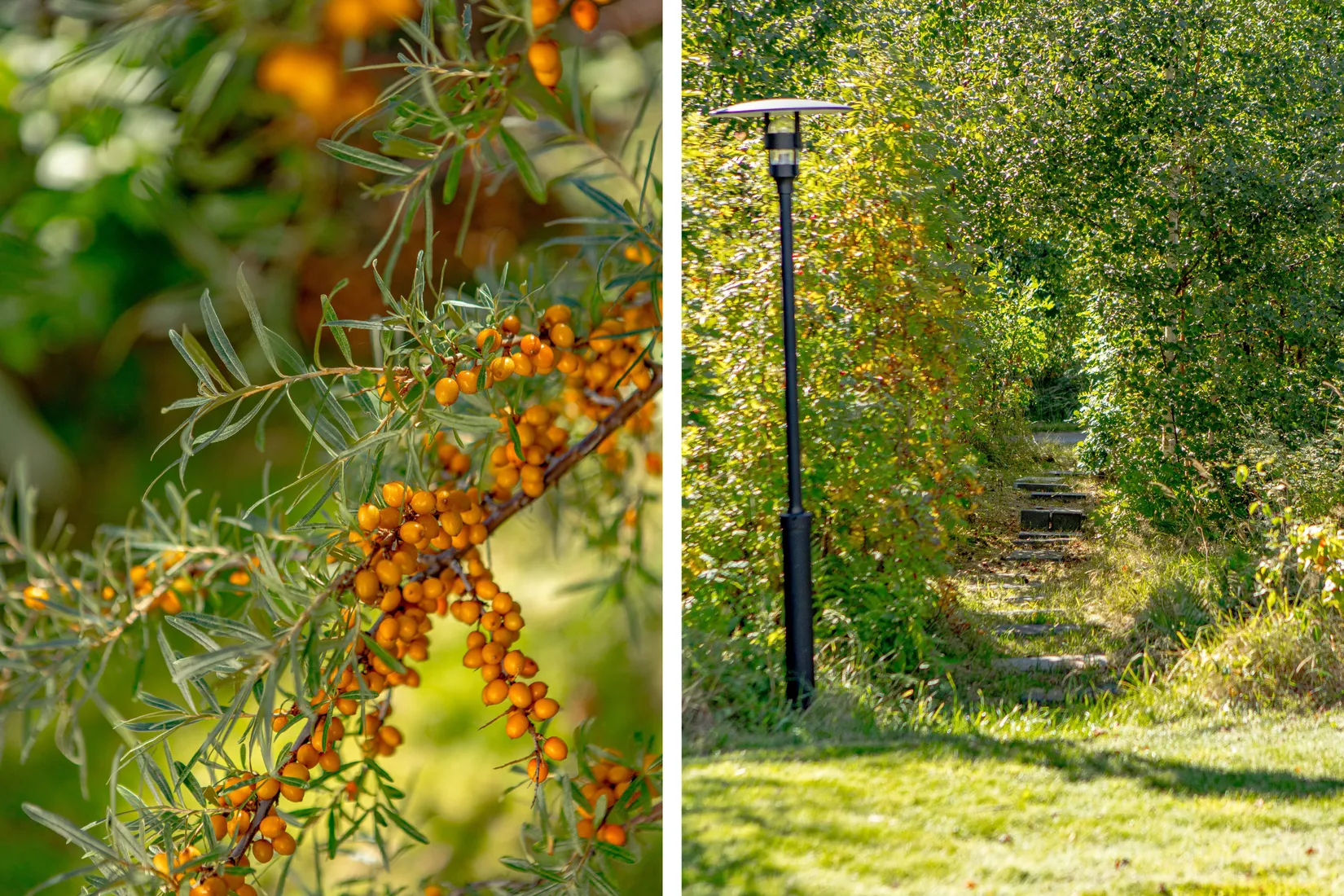 Villa, Roberts väg 1A, Skrea, Falkenberg