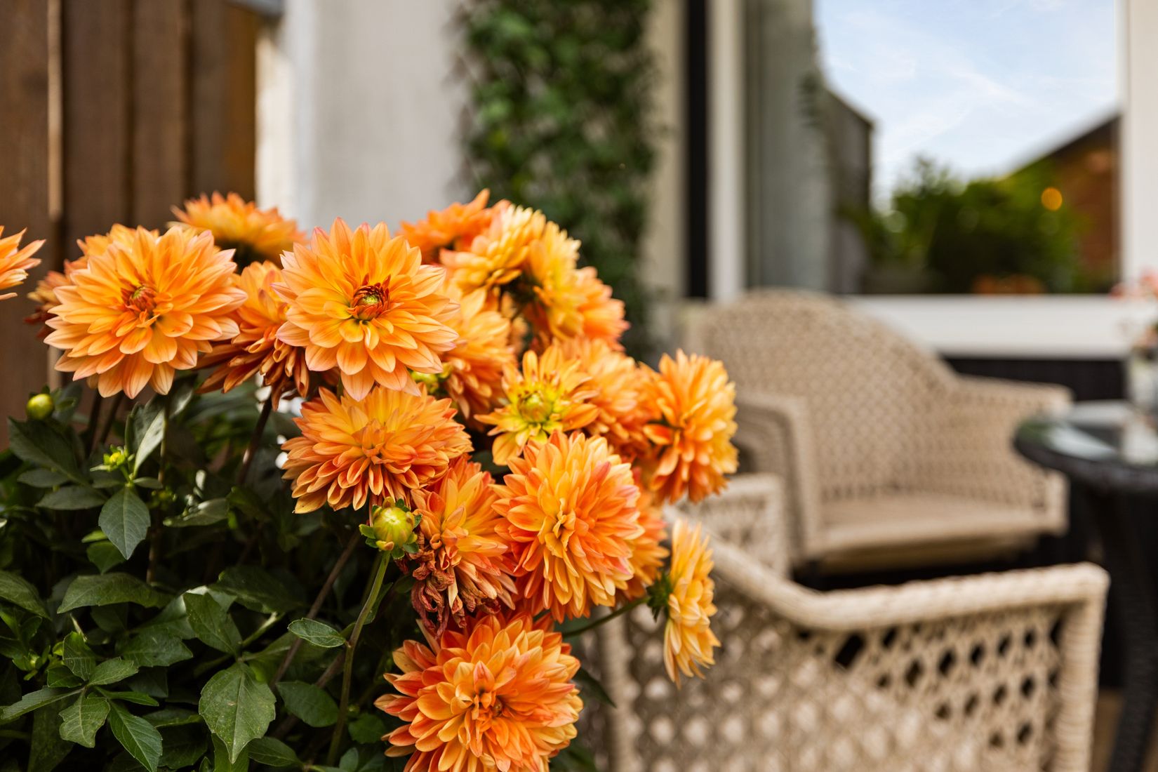 Bostadsrätt, Babordsgången 1U, Edvinshem, Ystad