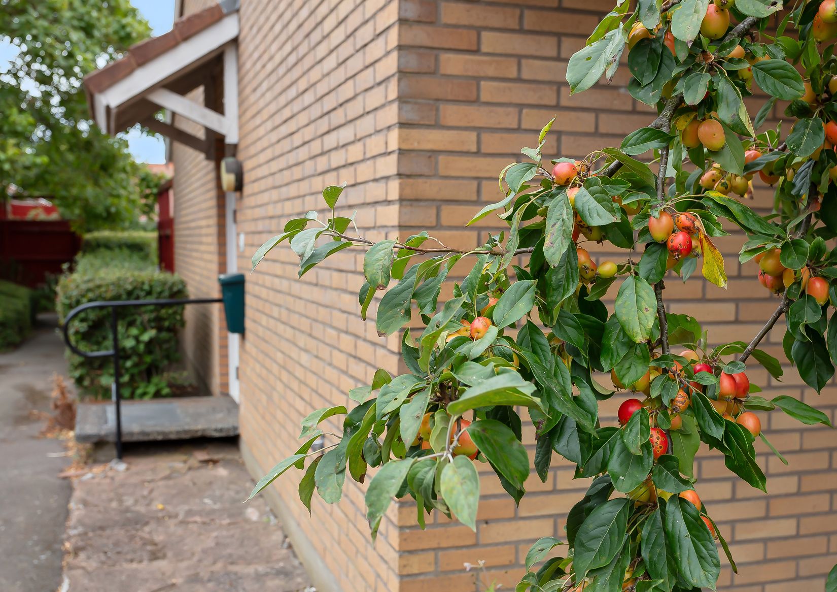 Bostadsrätt, Stärkelsegatan 3A, Löderup, Ystad