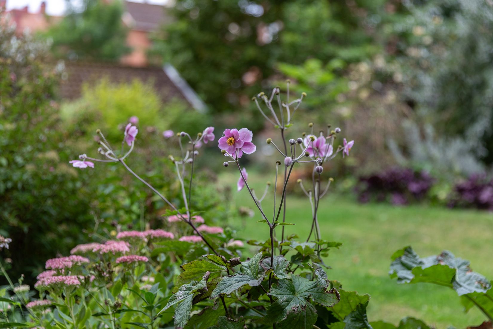 Bostadsrätt, Kungsgatan 1A, Centrum, Trollhättan