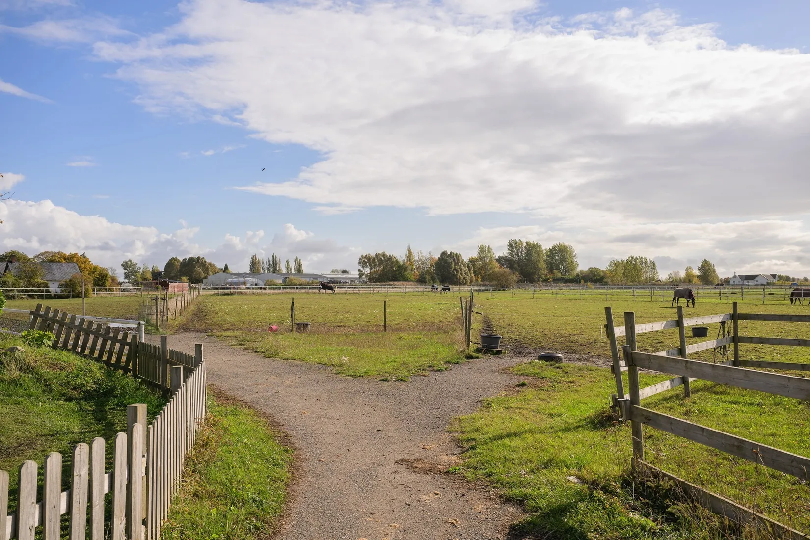 Gård/Skog, Vellinge väster byaväg 32-5, Vellinge