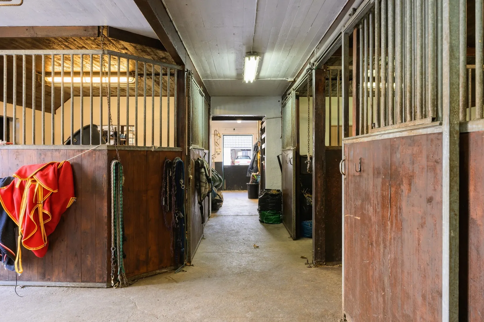 Gård/Skog, Vellinge väster byaväg 32-5, Vellinge