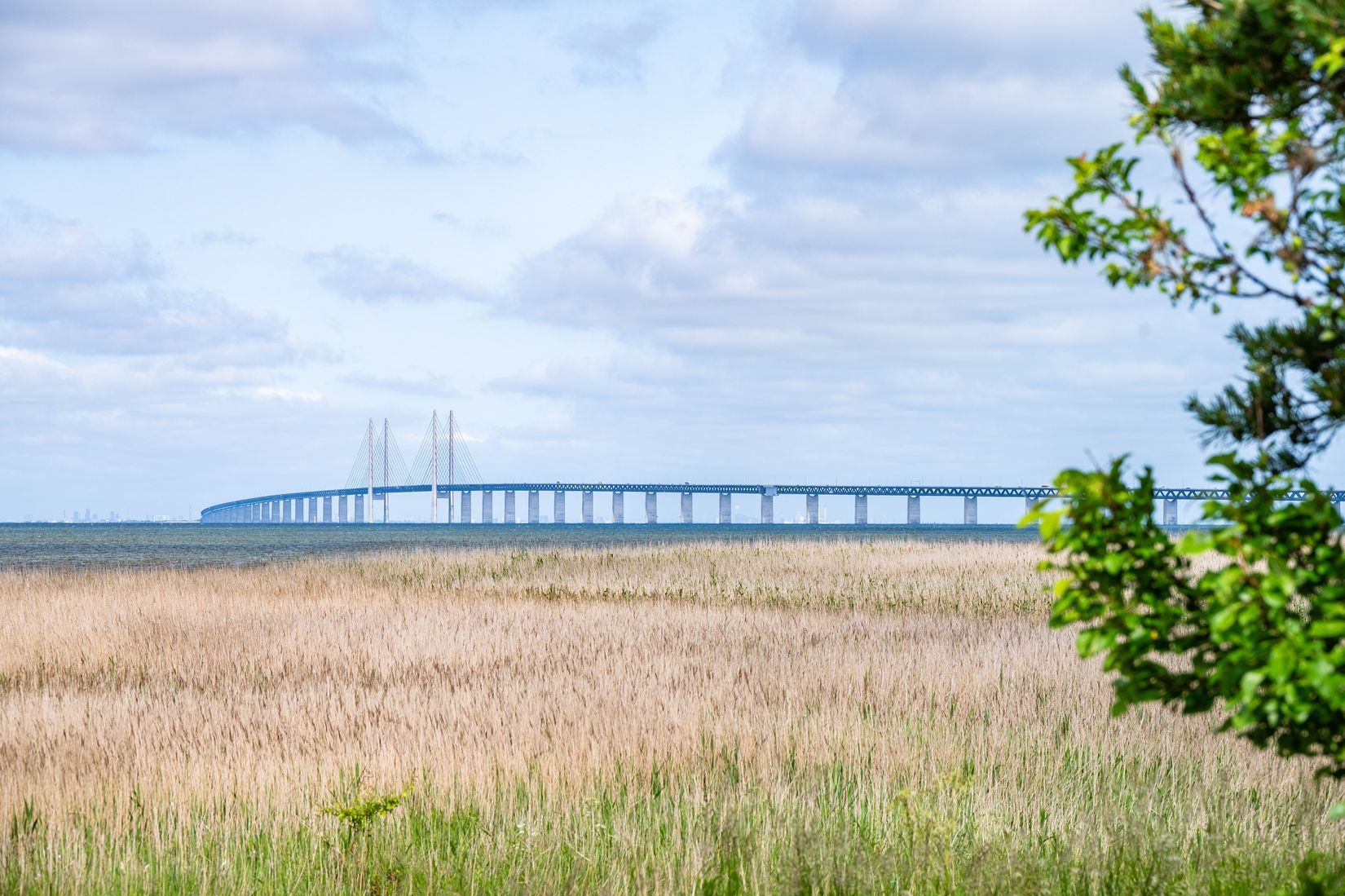 Radhus, Svarthättevägen 3, Malmö