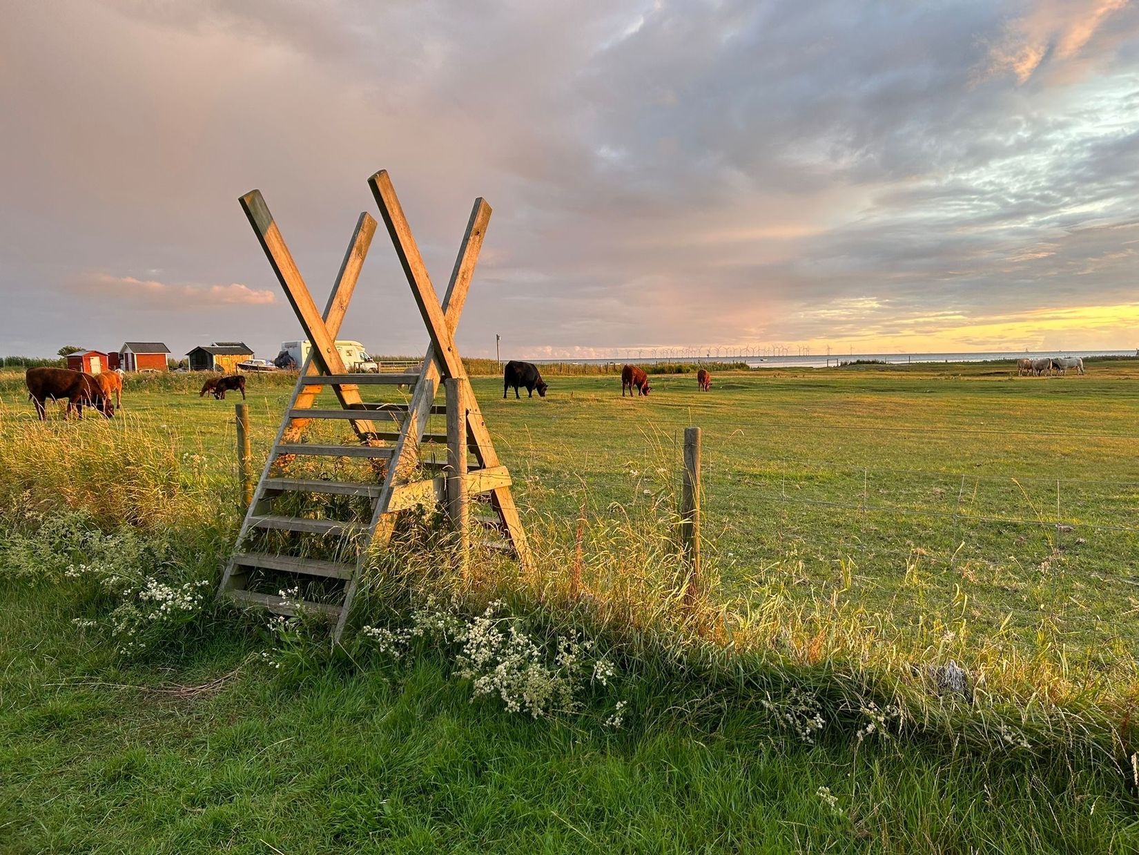 Radhus, Svarthättevägen 3, Malmö
