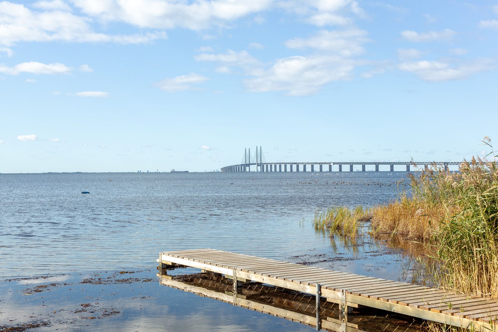 Radhus, Svarthättevägen 3, Malmö