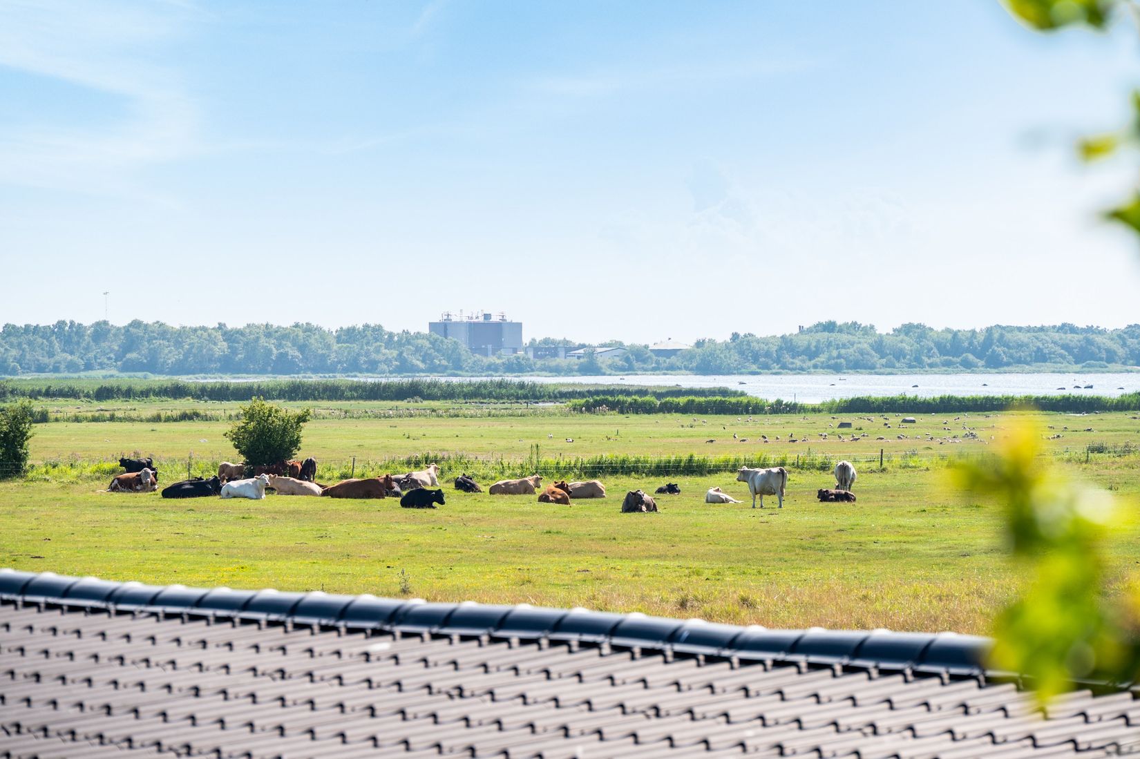 Radhus, Svarthättevägen 3, Malmö