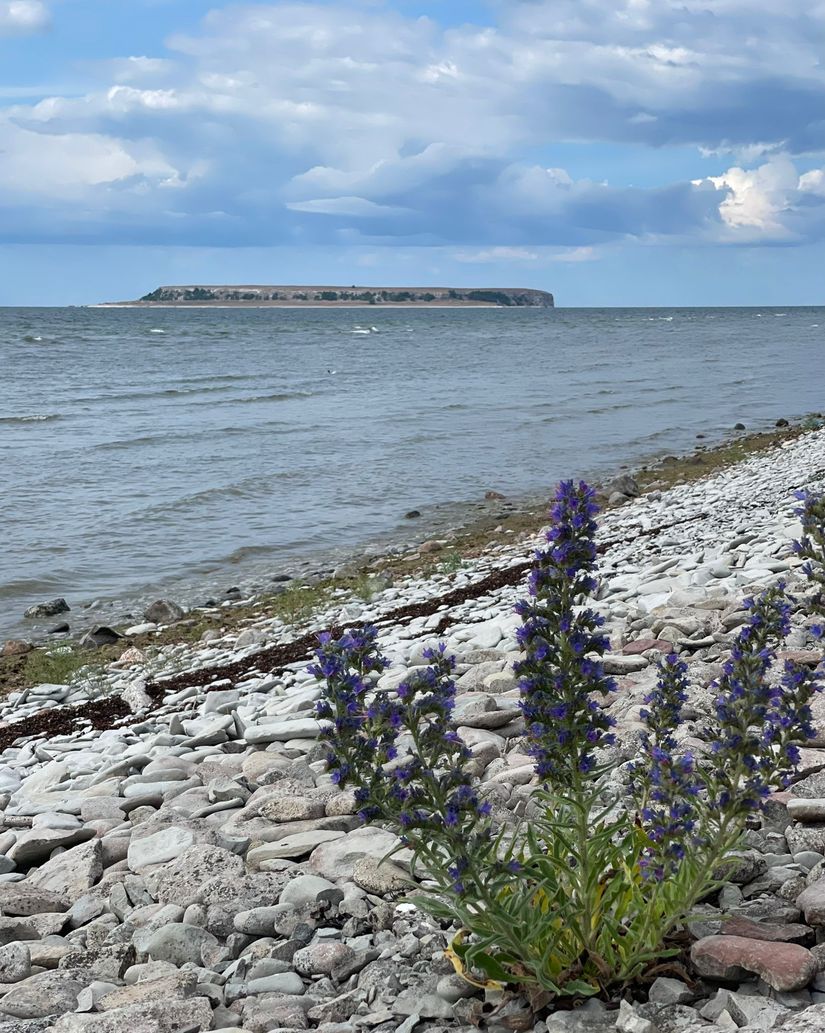 Fritidshus, Eksta Bopparve 218, Västra Gotland - Ekstakusten, Gotland