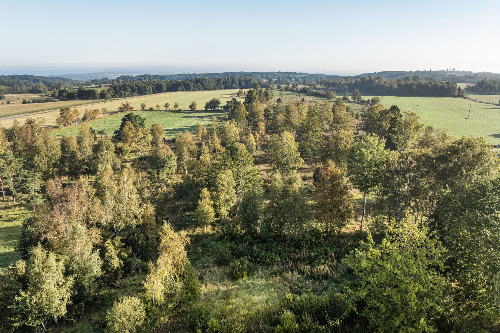 Tomt, Frestensfällevägen 43, Båstad