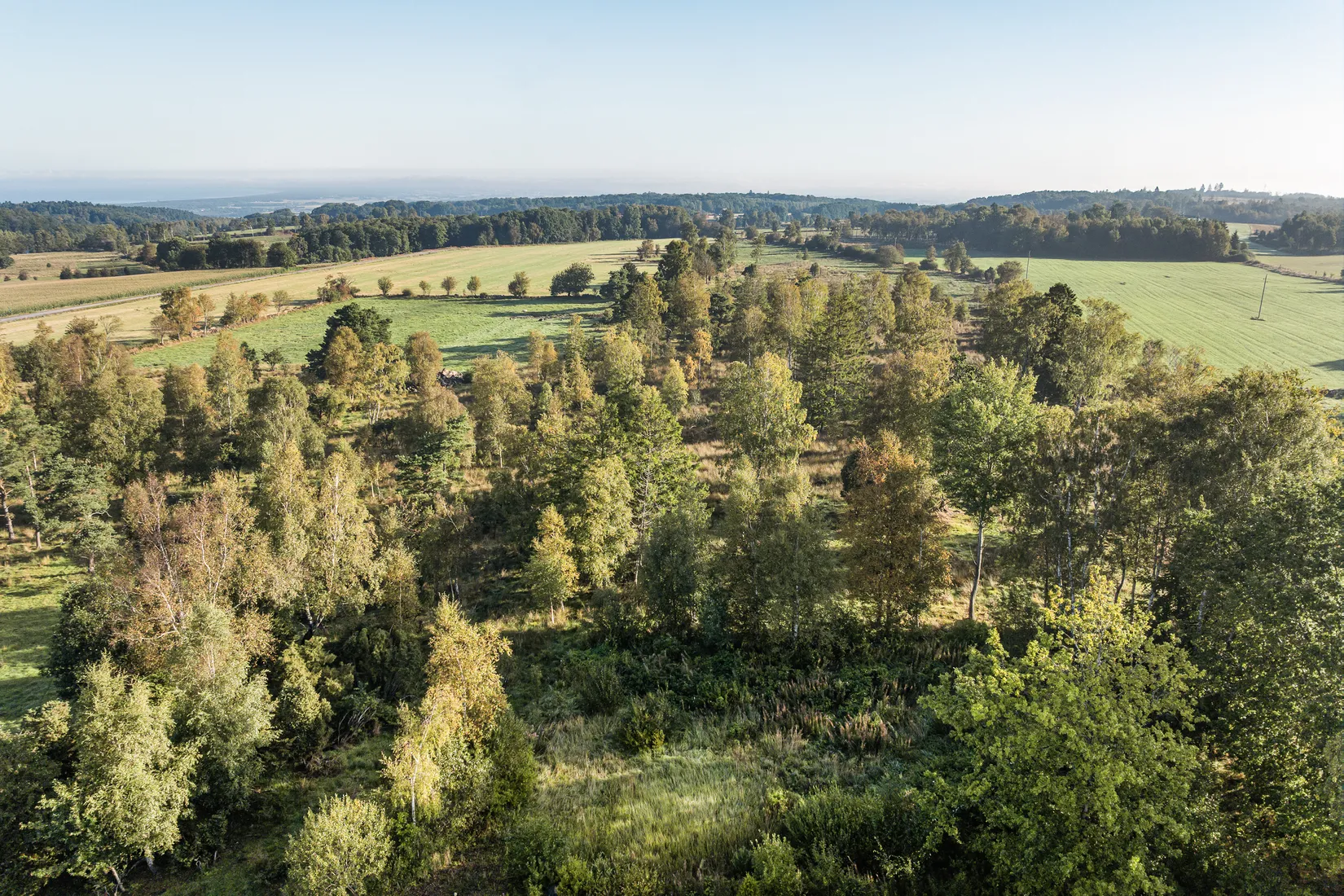 Tomt, Frestensfällevägen 43, Båstad
