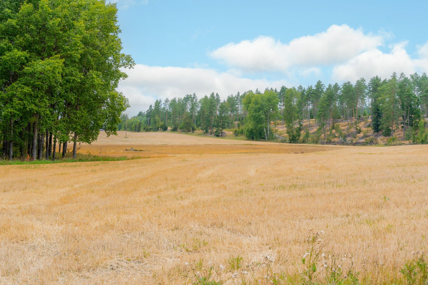 Villa, Mosstugan Ängen 1, Lantligt, Gnesta