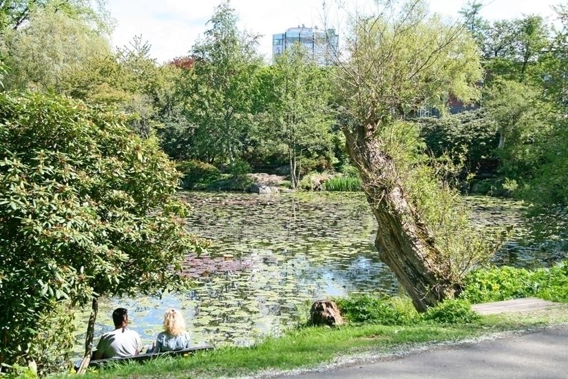 Bostadsrätt, Fridkullagatan 17C, Johanneberg, Göteborg