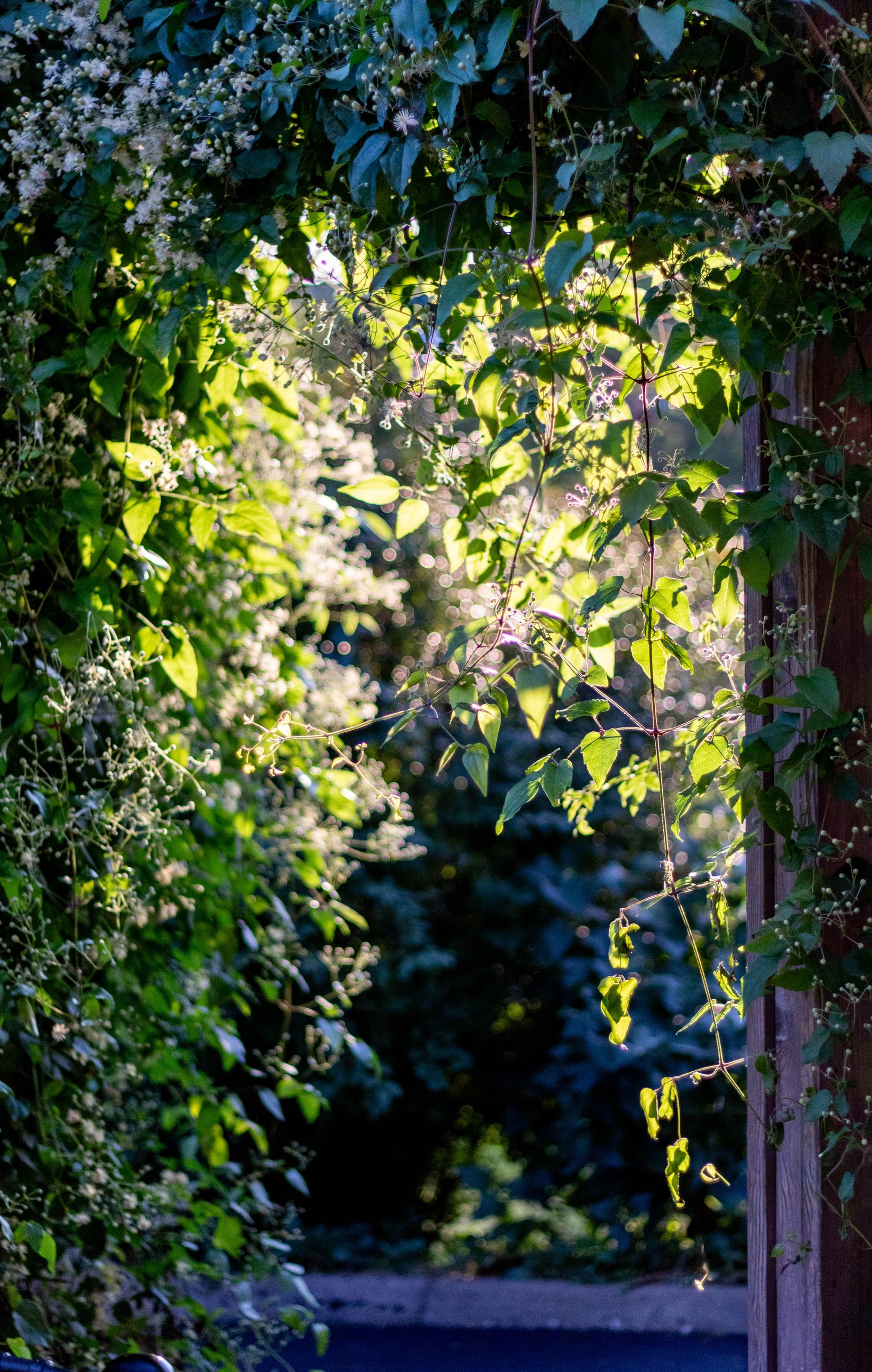 Bostadsrätt, Radhus, Myrstuguvägen 115, Myrstuguberget, Huddinge