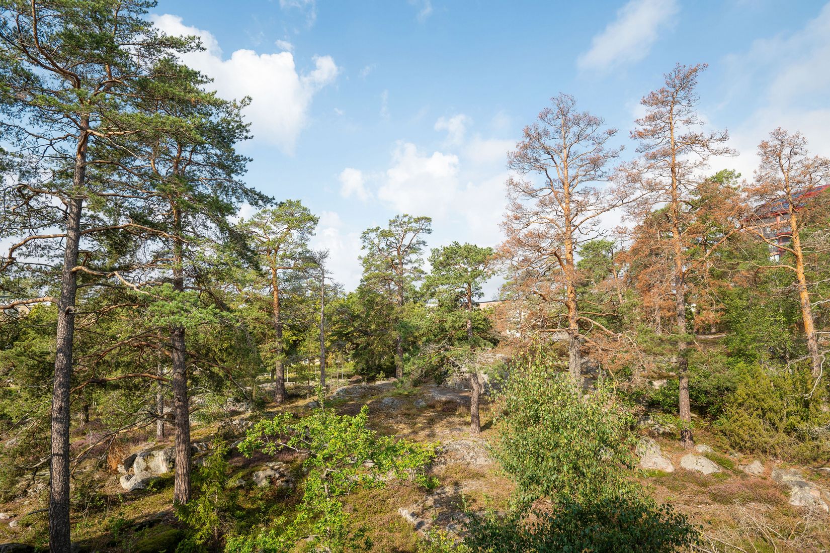 Bostadsrätt, SEGERSÄLLSVÄGEN 3, vån 3, Jakobsberg, Järfälla