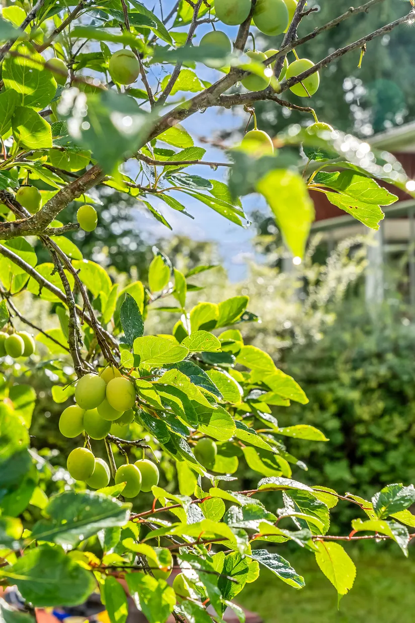 Bostadsrätt, Radhus, Textilvägen 15, Textil, Rättvik