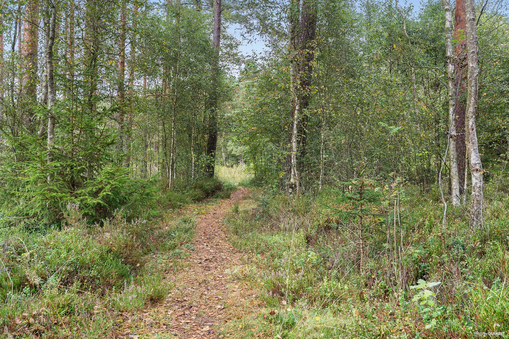 Gård/Skog, Jännaholm 8565, Örkelljunga