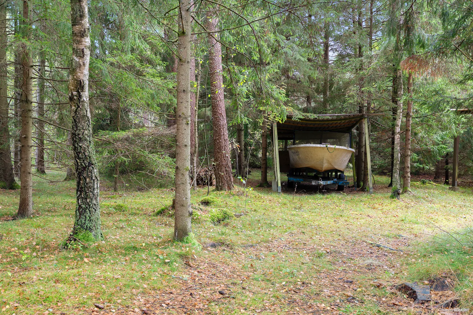 Gård/Skog, Jännaholm 8565, Örkelljunga
