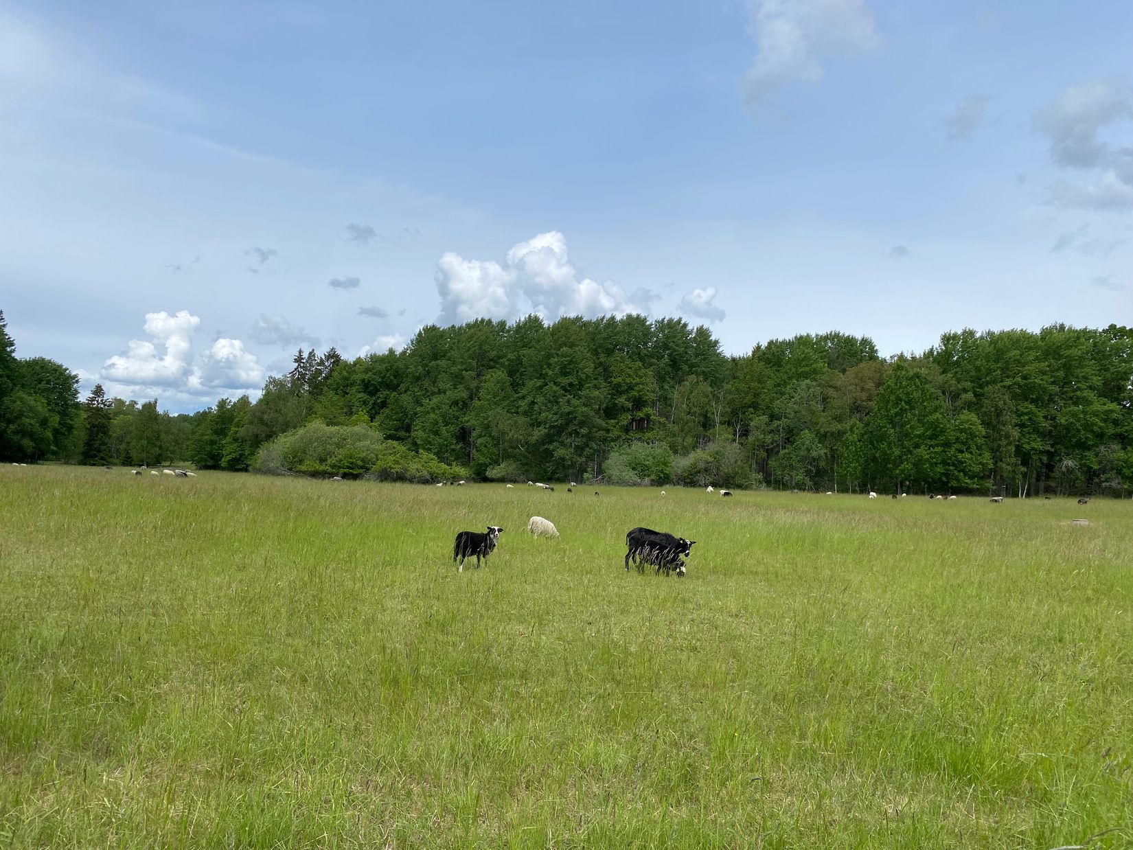 Villa, Radhus, Kikarvägen 17, Viksjö, Järfälla