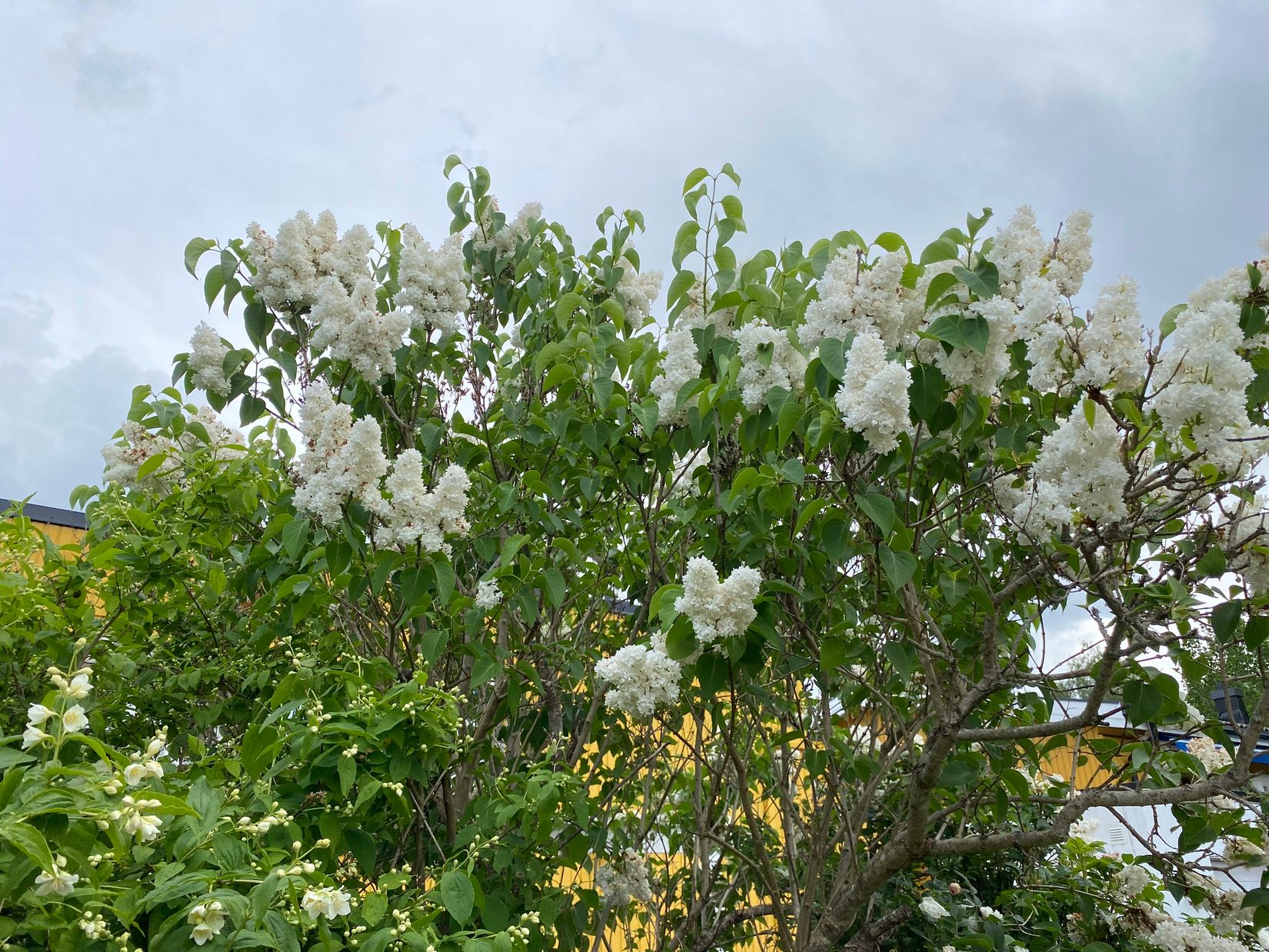 Villa, Radhus, Kikarvägen 17, Viksjö, Järfälla