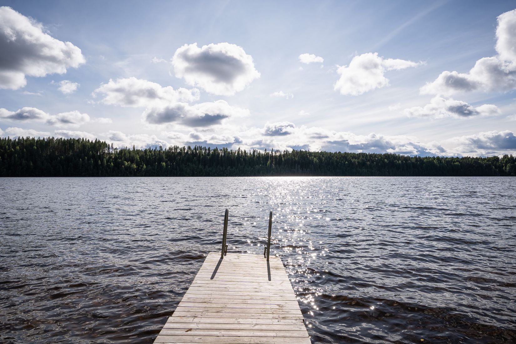 Villa, Selsforsen 137, Skellefteå