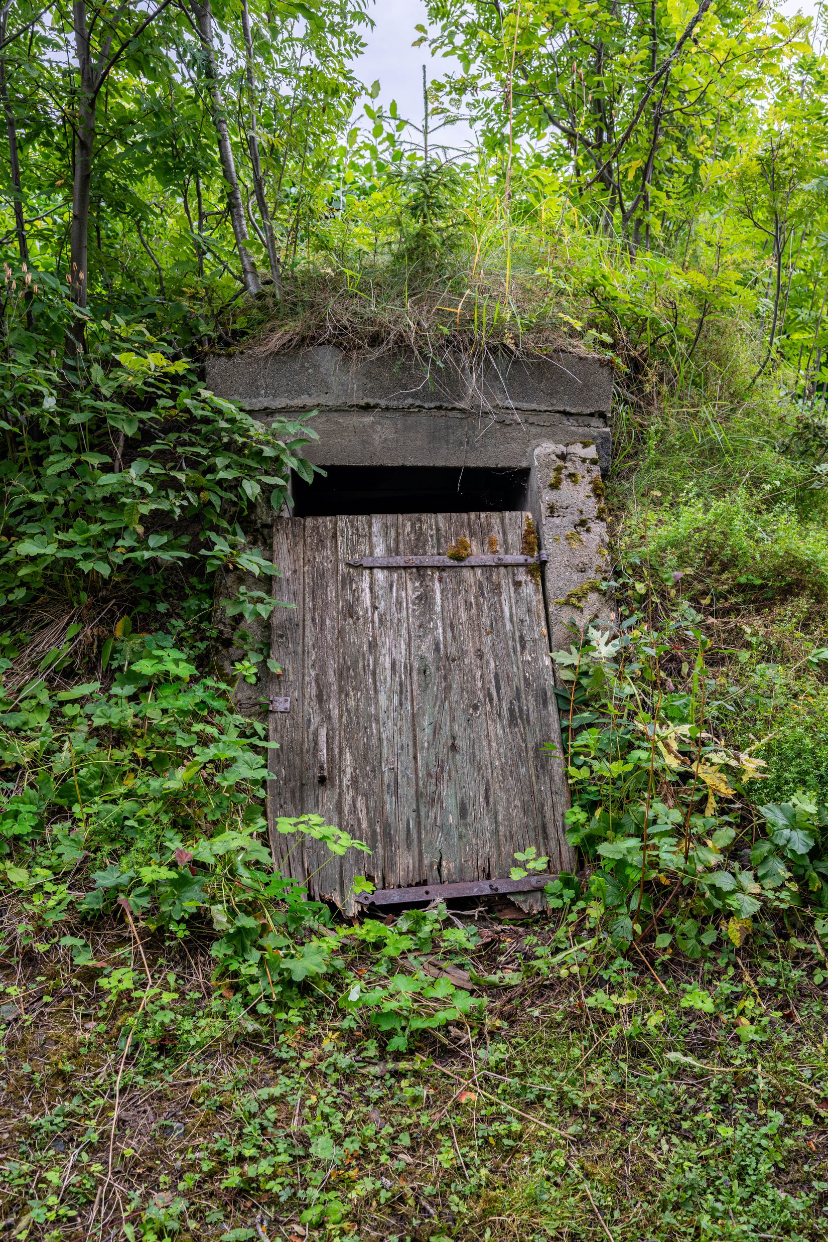 Fritidshus, Täng Sjöväg 81, Ås, Krokom