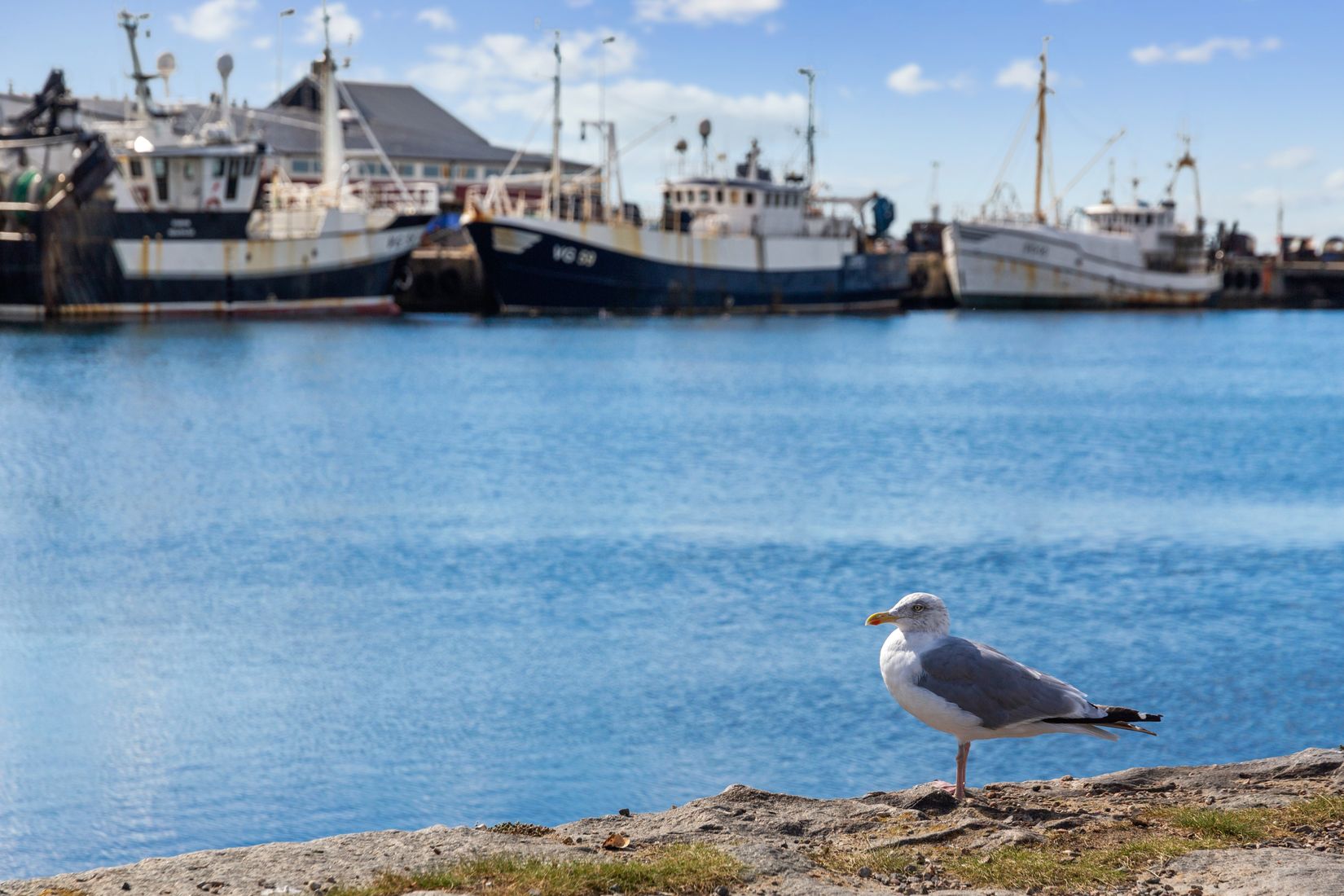Villa, Vare 52C, Vare, Varberg