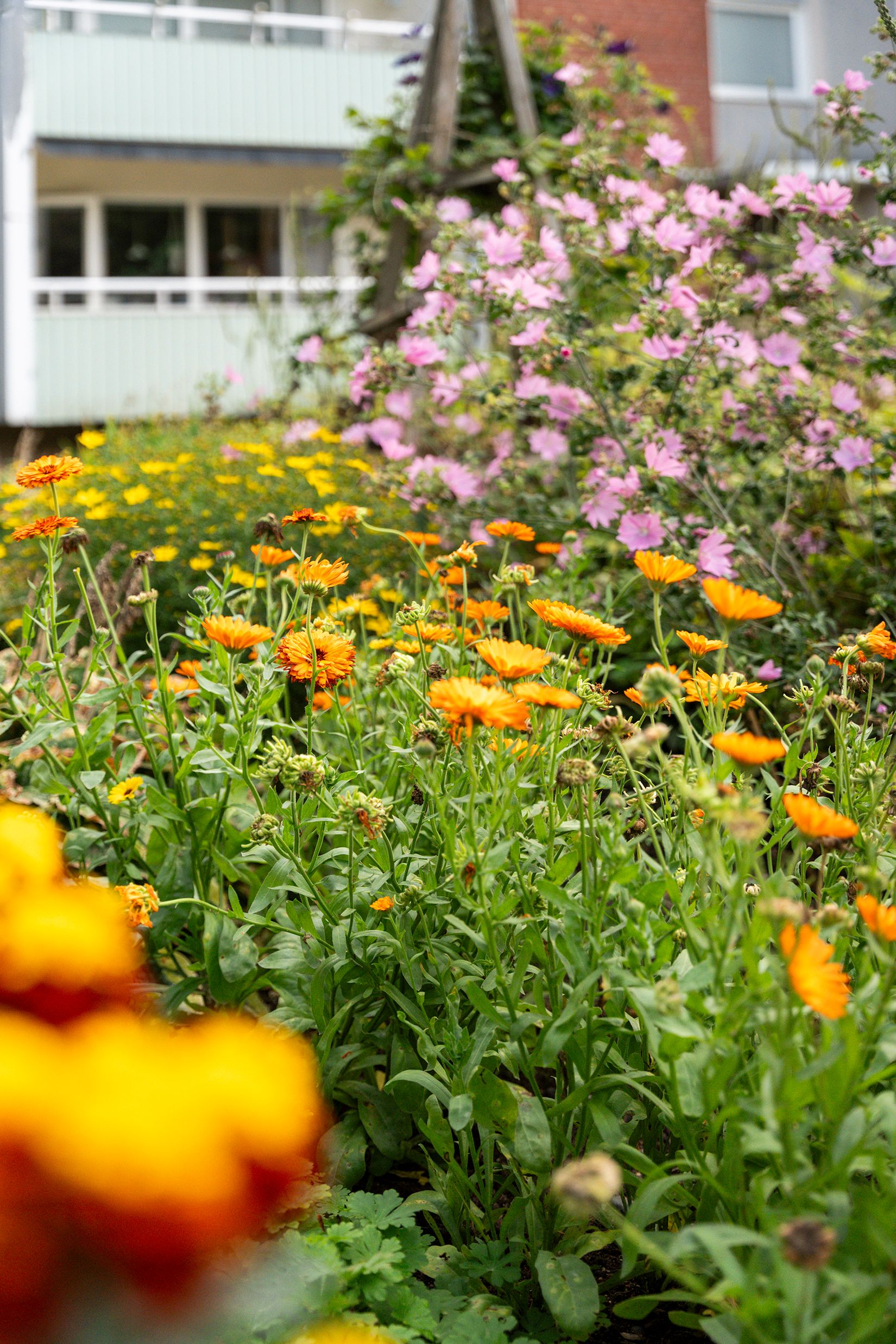 Bostadsrätt, Karlstorpsvägen 119, Karlstorp, Trollhättan