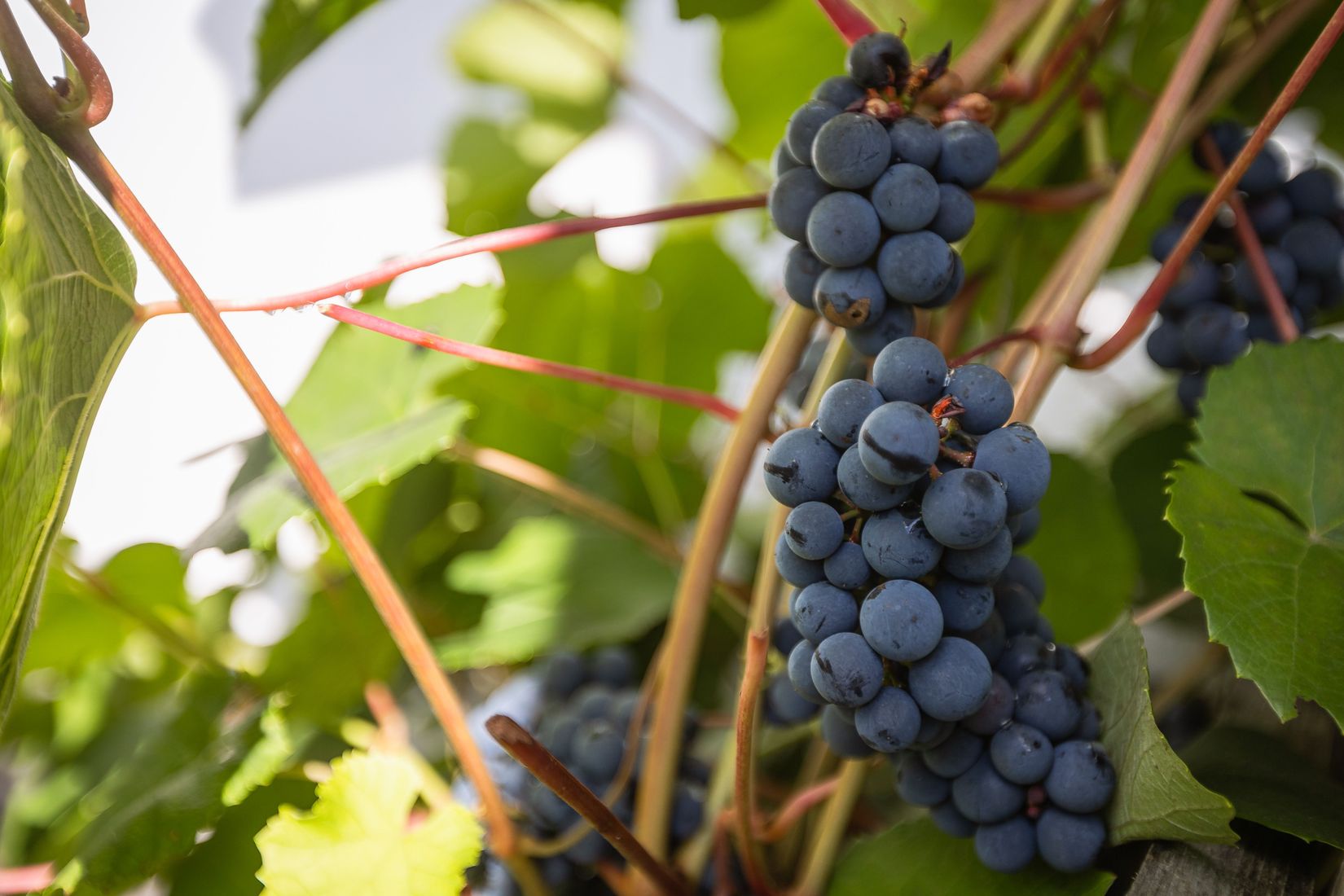 Villa, Torsbovägen 14, Vaggeryd - Torsbo, Vaggeryd