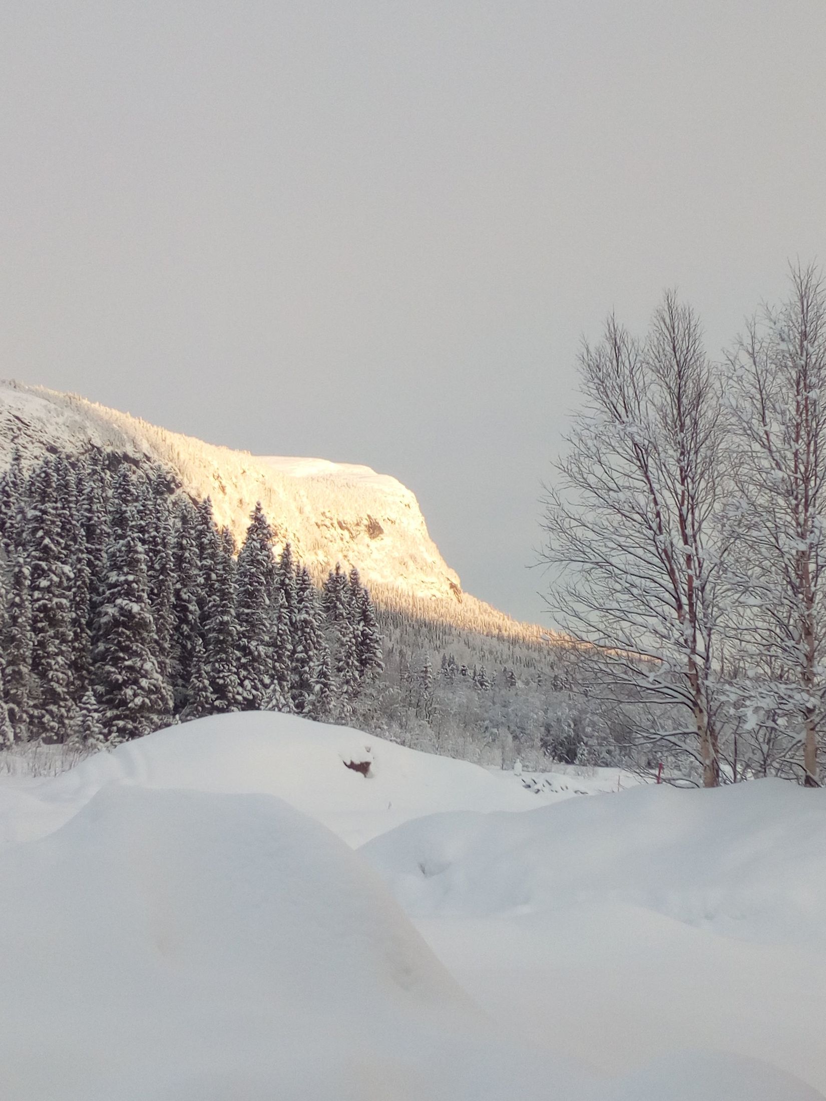 Fritidshus, Vårstigen 17, Kittelfjäll, Vilhelmina