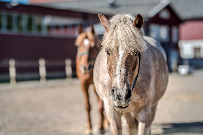 Bostadsrätt, Radhus, Lillekärr norra 189, Hisings Kärra, Göteborg
