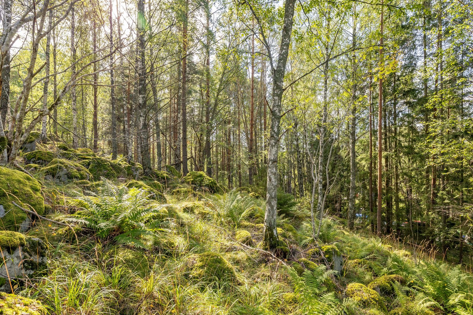 Tomt, Mjölkarvägen 7, Bro, Upplands-Bro