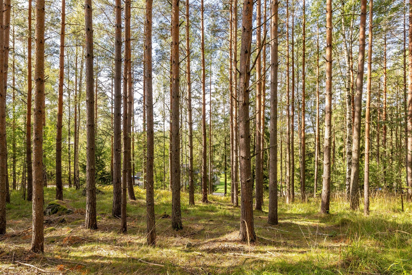Tomt, Mjölkarvägen 7, Bro, Upplands-Bro