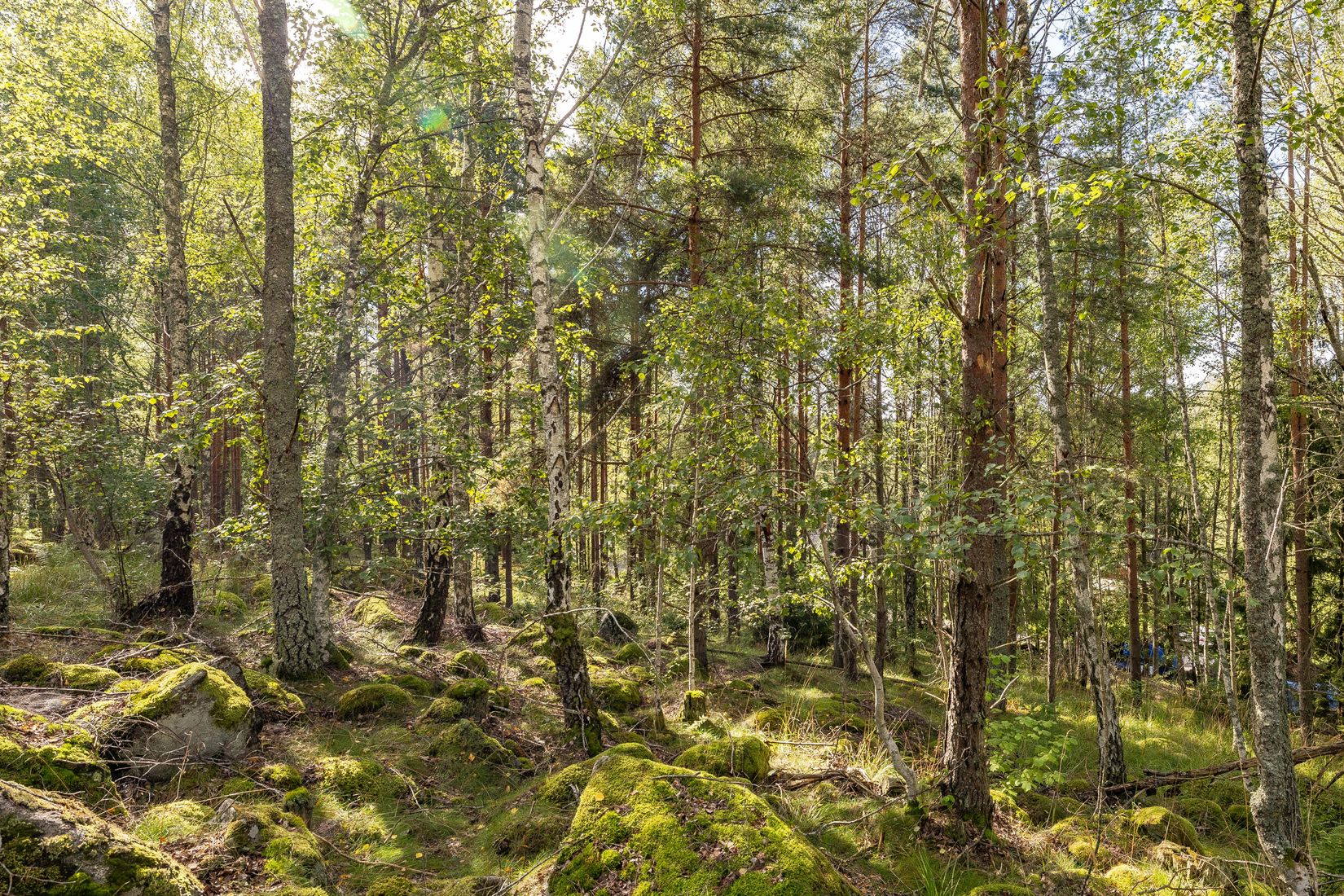 Tomt, Mjölkarvägen 7, Bro, Upplands-Bro