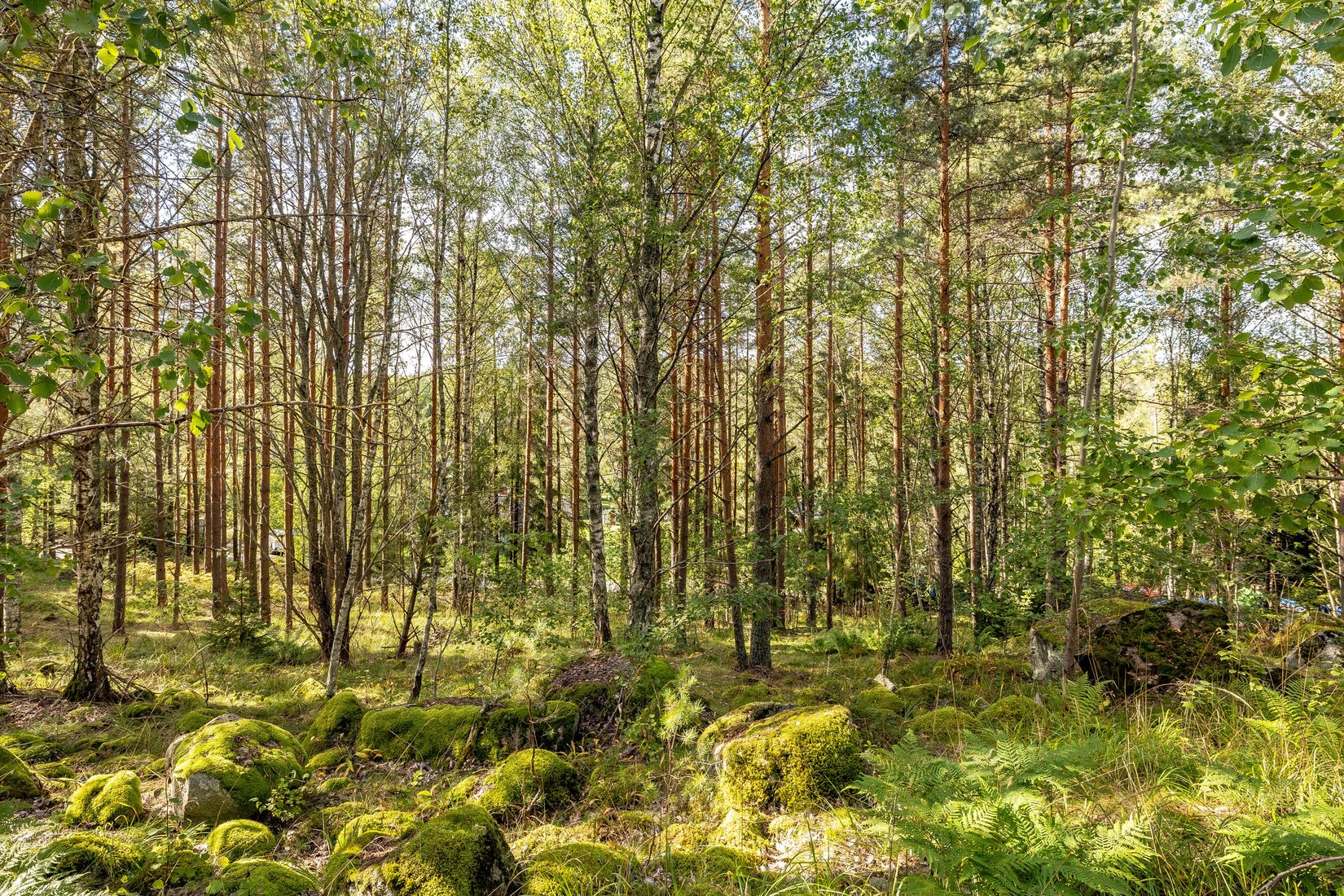 Tomt, Mjölkarvägen 7, Bro, Upplands-Bro